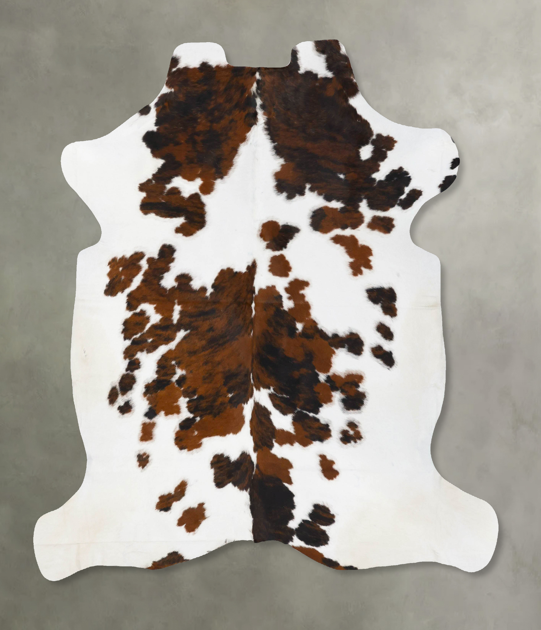 Tricolor Cowhide Rug #B23698
