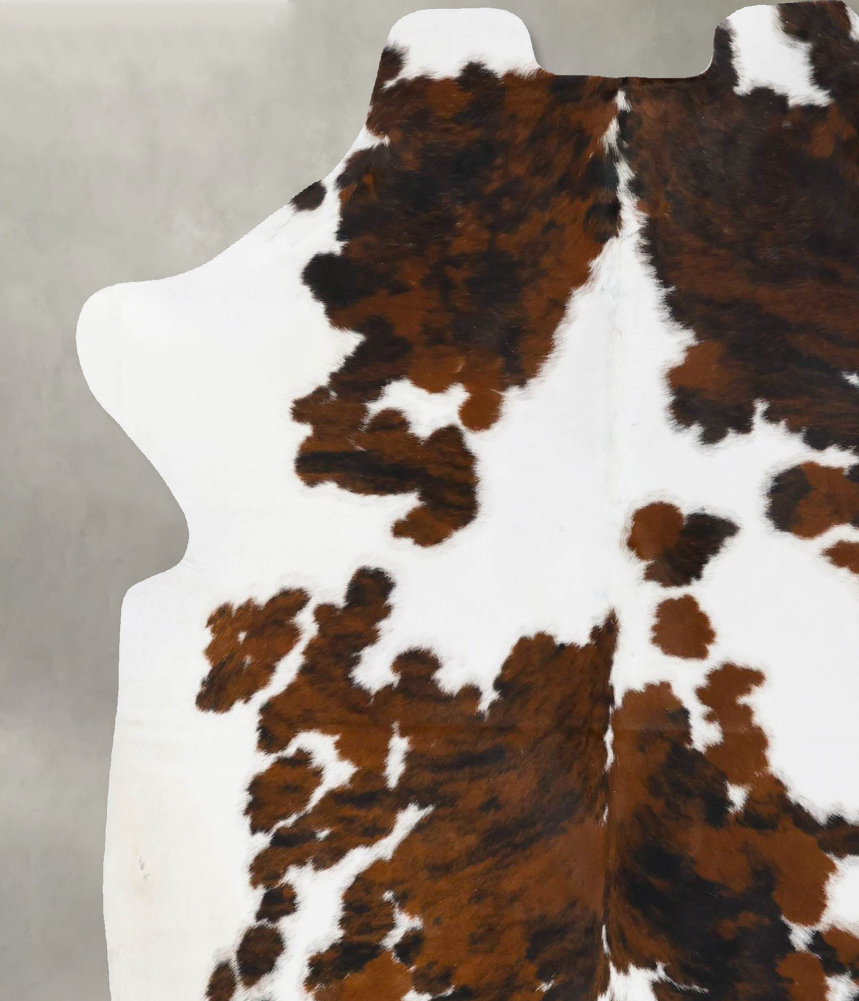 Tricolor Cowhide Rug #B23698