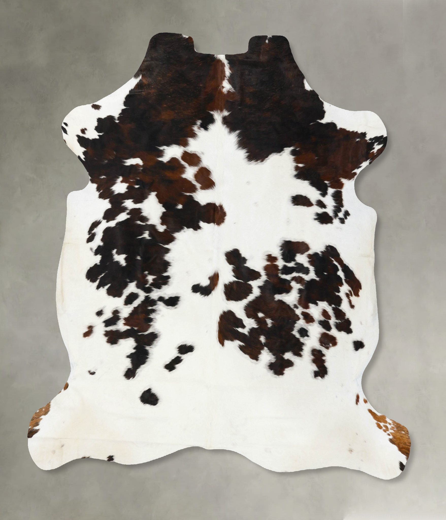Tricolor Cowhide Rug #B23699