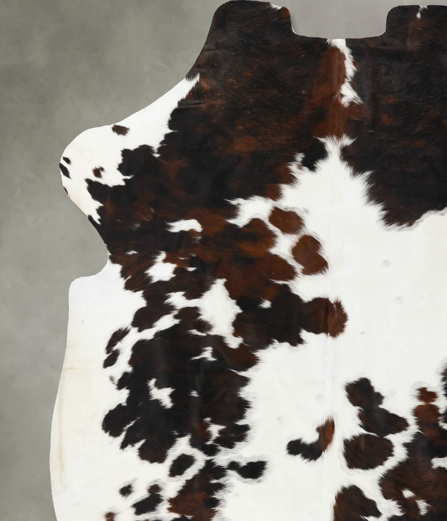 Tricolor Cowhide Rug #B23699