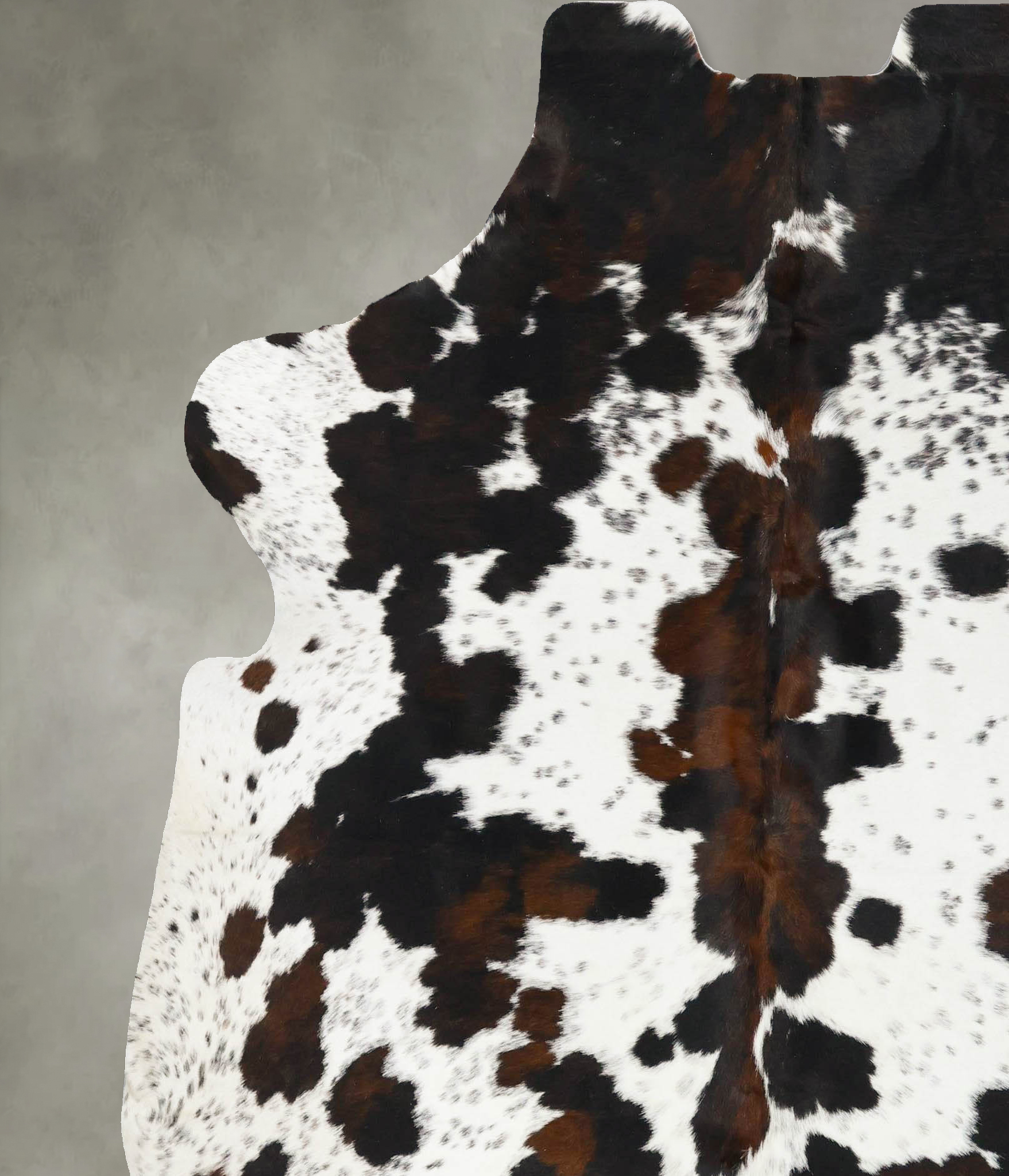 Tricolor Cowhide Rug #B23701