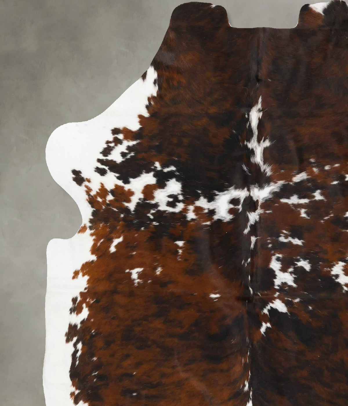 Tricolor X-Large European Cowhide Rug 6'11"H x 5'11"W #B23705 by Hudson Hides