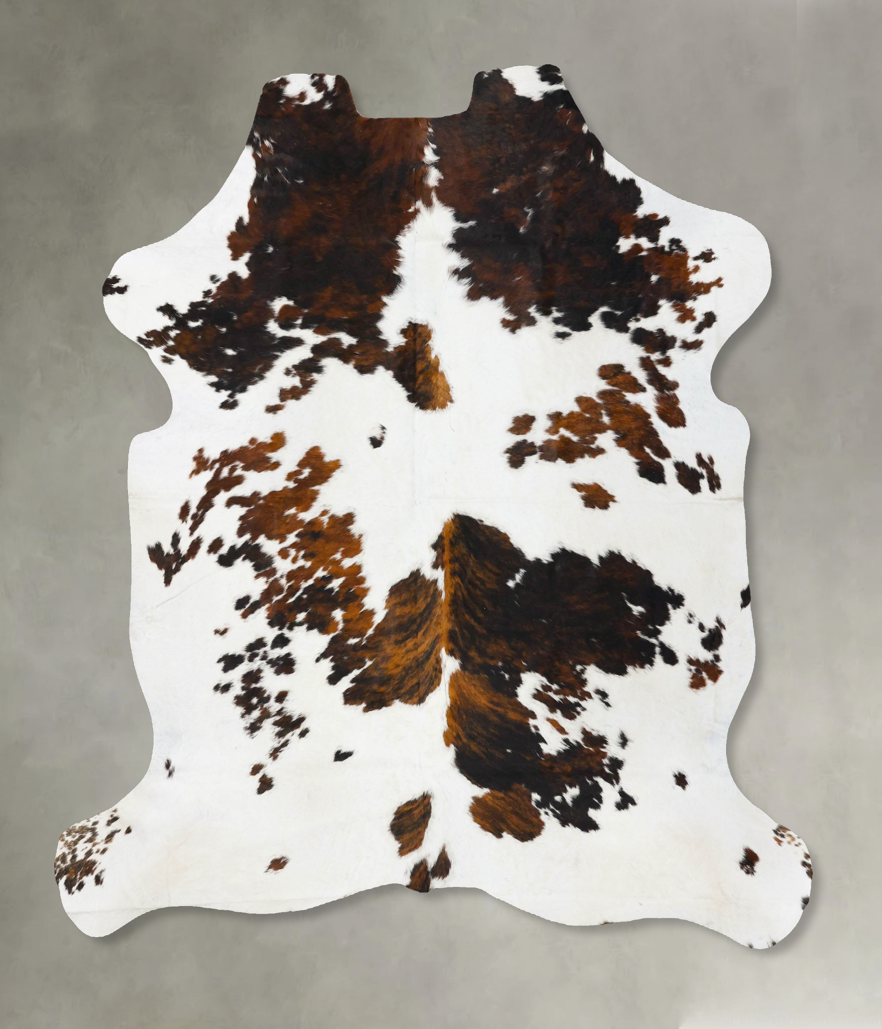 Tricolor Cowhide Rug #B23709