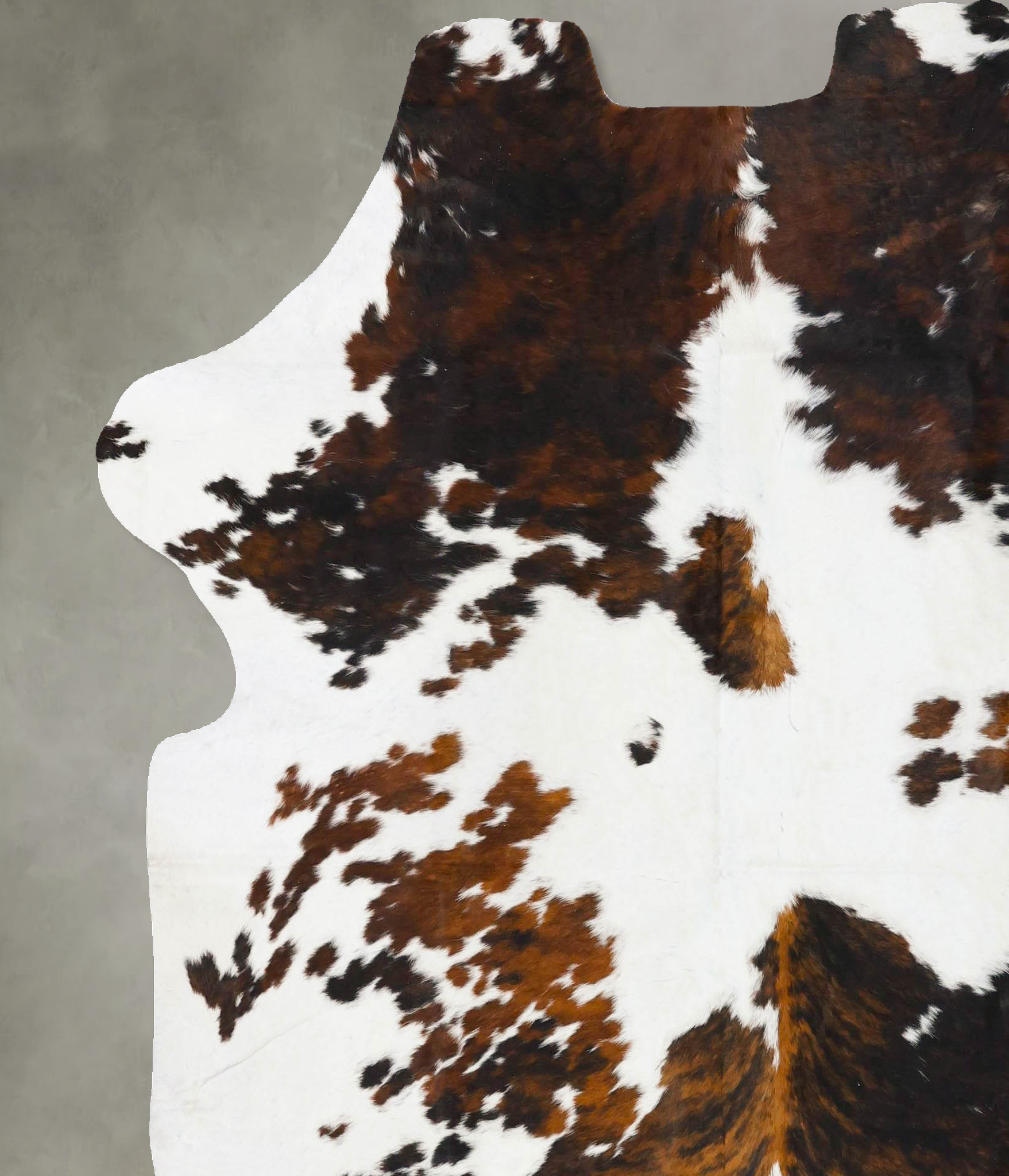 Tricolor Cowhide Rug #B23709