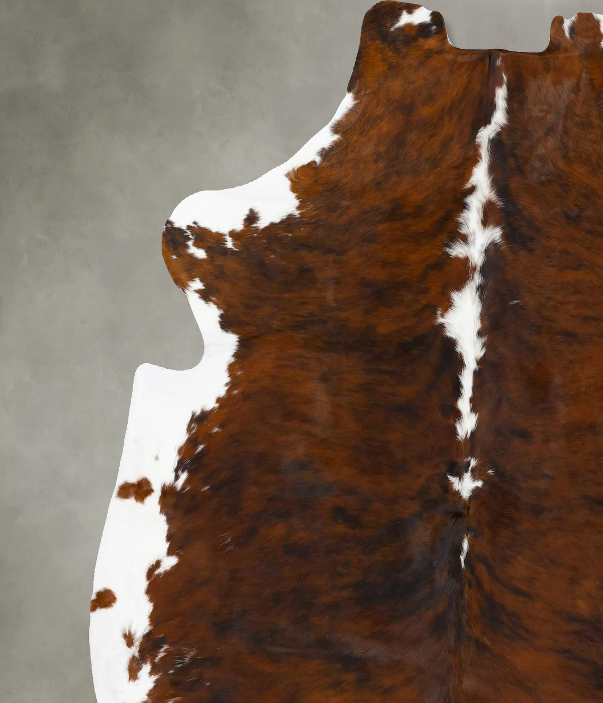 Tricolor X-Large European Cowhide Rug 7'5"H x 6'8"W #B23712 by Hudson Hides