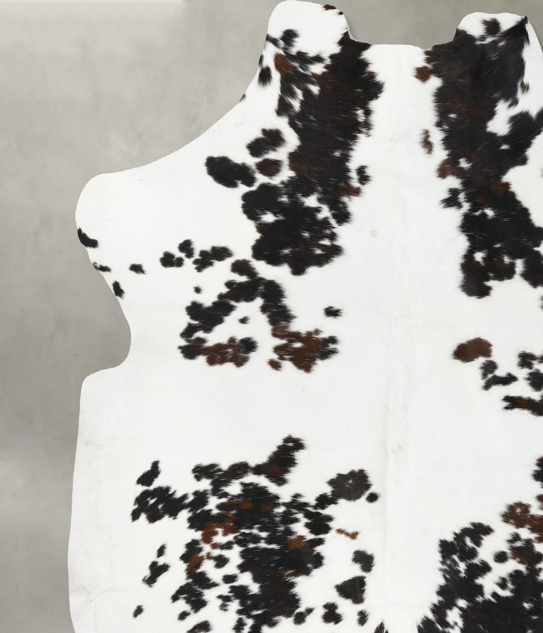 Tricolor Cowhide Rug #B23713