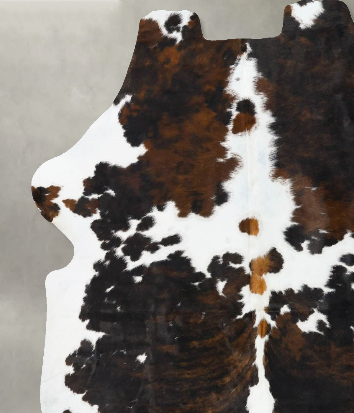 Tricolor X-Large European Cowhide Rug 6'11"H x 6'4"W #B23714 by Hudson Hides
