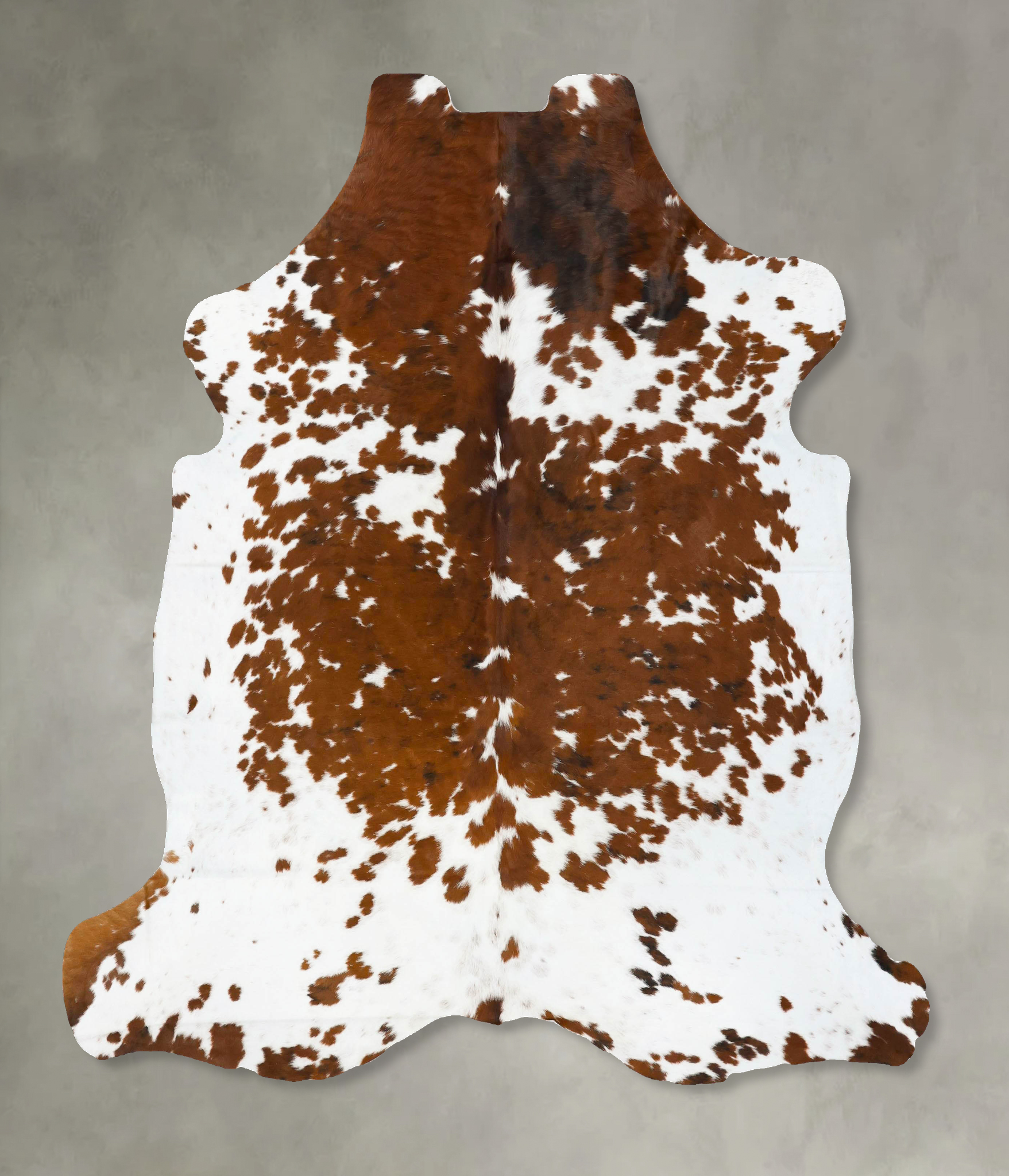 Tricolor Cowhide Rug #B23715