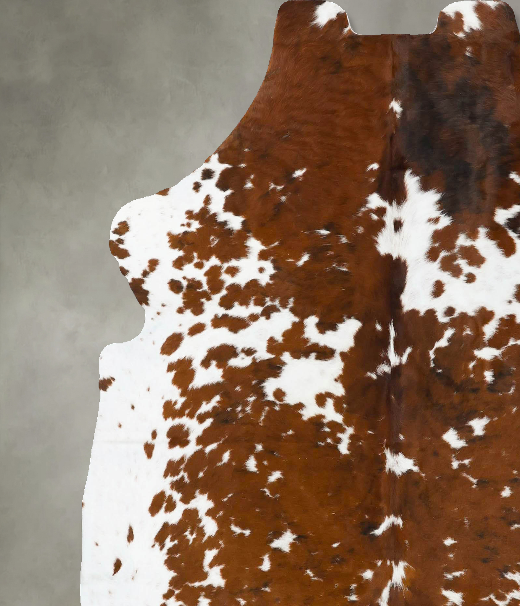 Tricolor Cowhide Rug #B23715