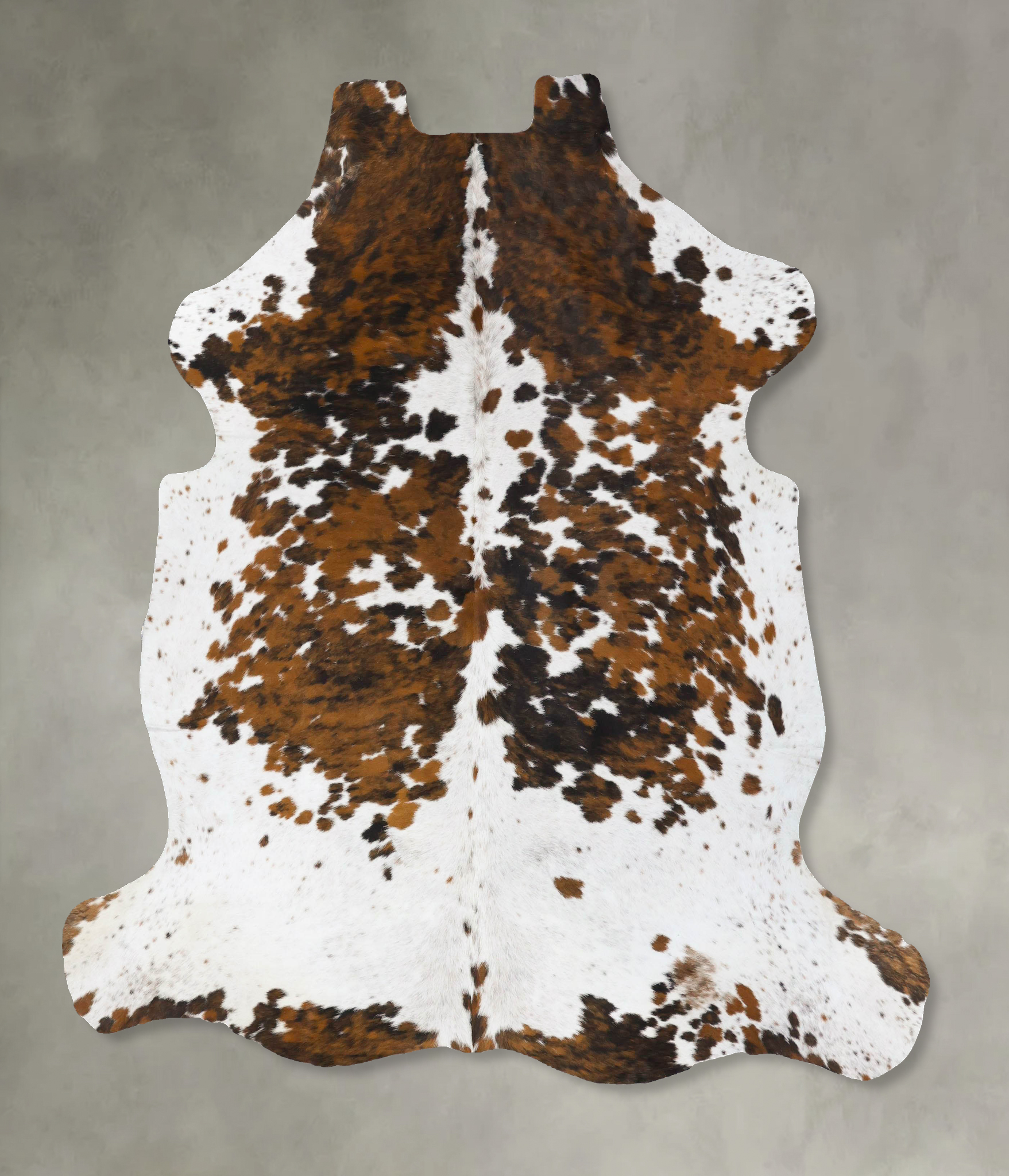 Tricolor Cowhide Rug #B23719