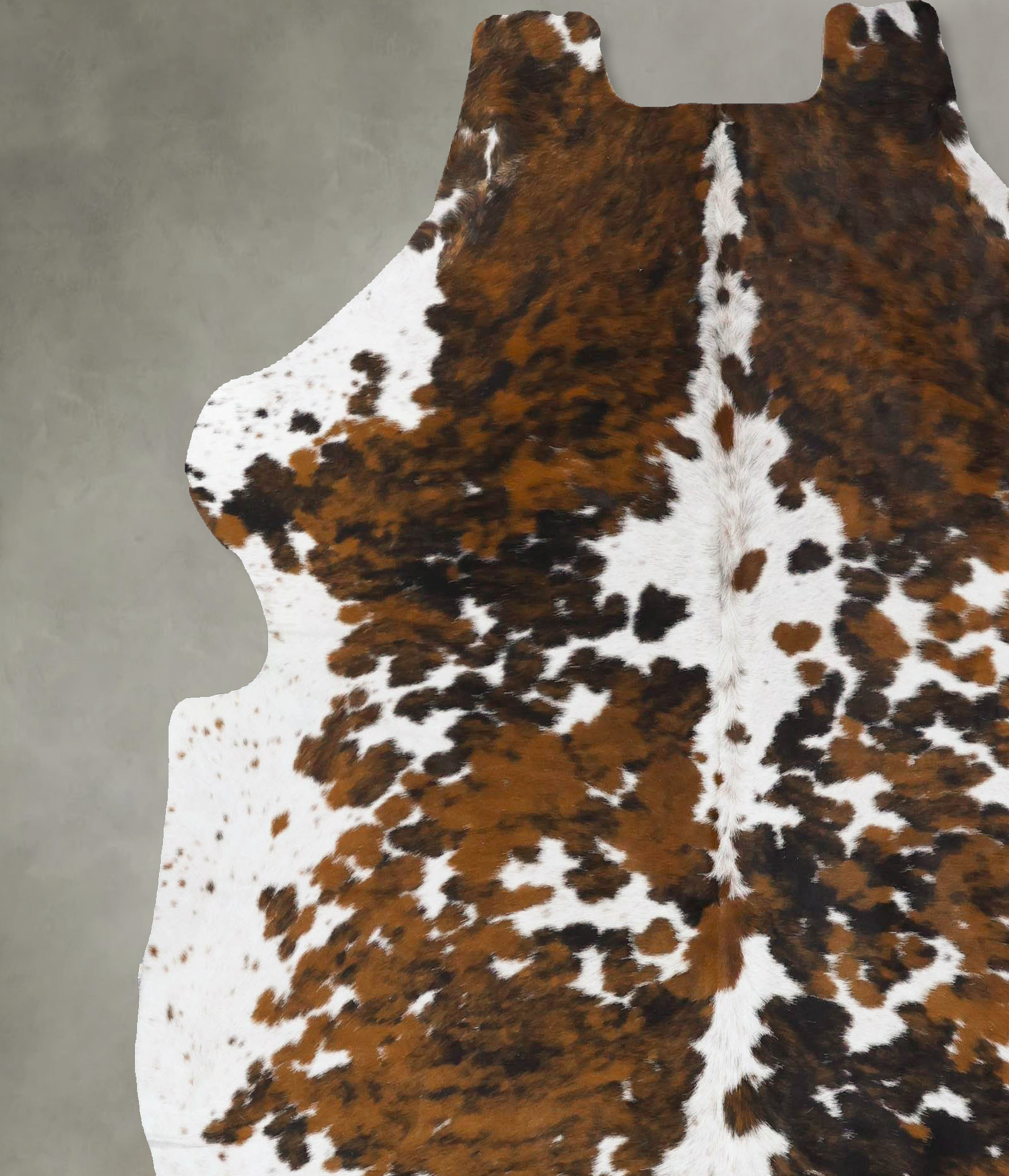 Tricolor Cowhide Rug #B23719