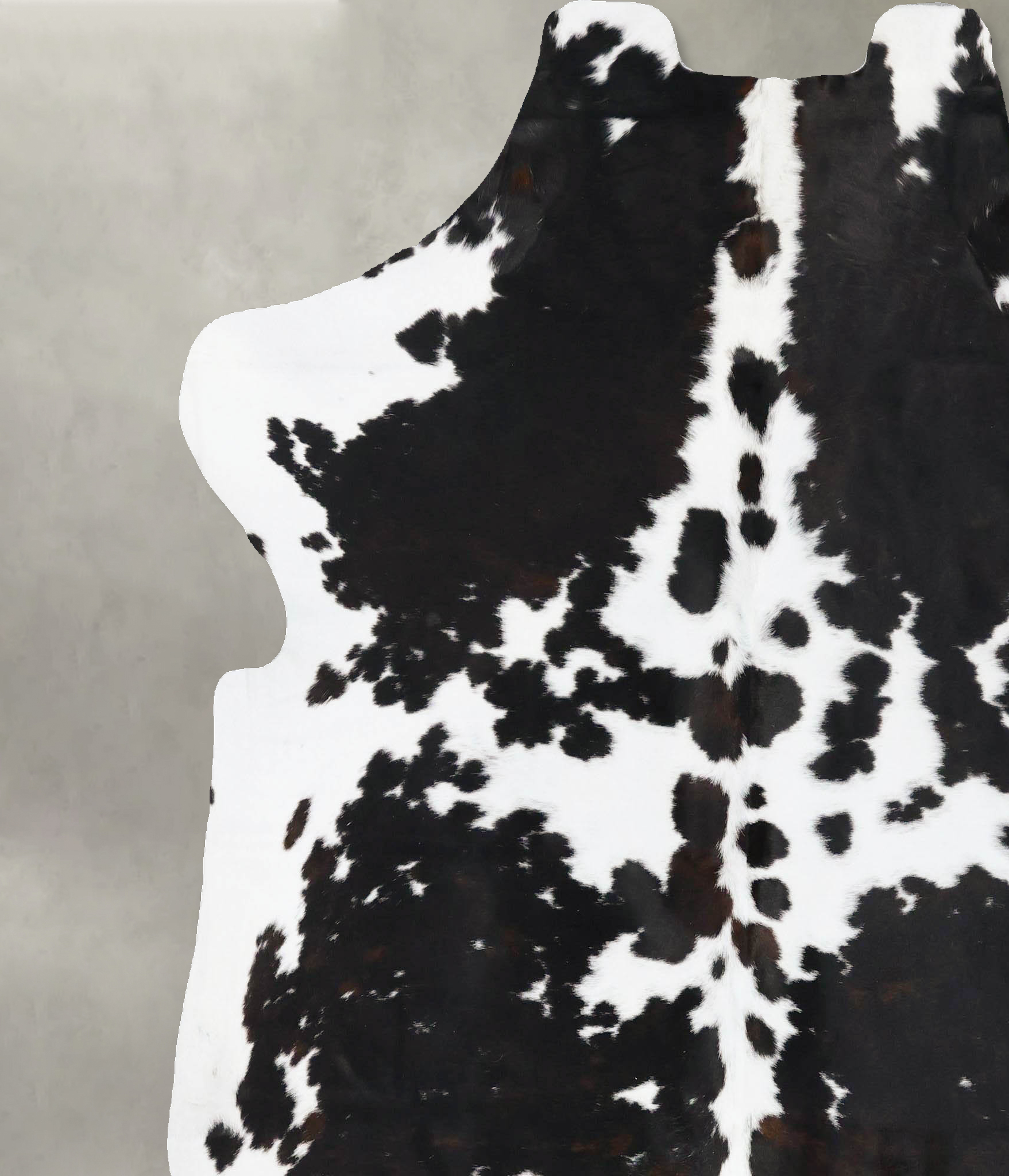Tricolor Cowhide Rug #B23722