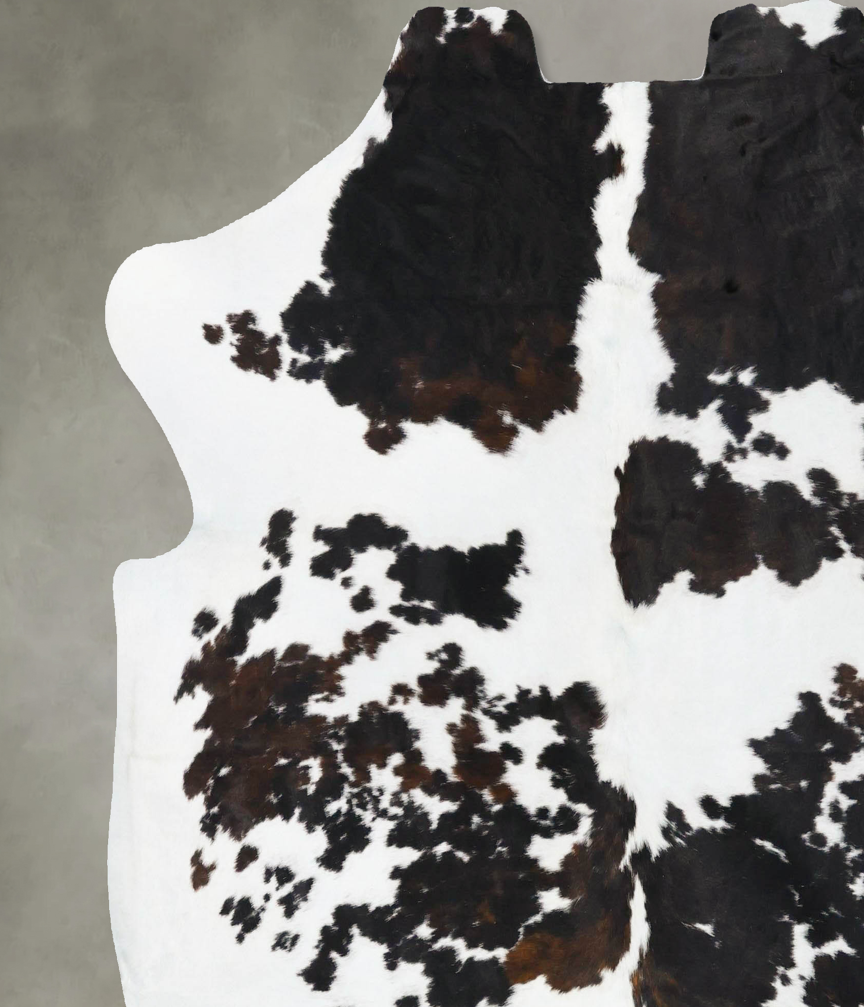 Tricolor Cowhide Rug #B23726