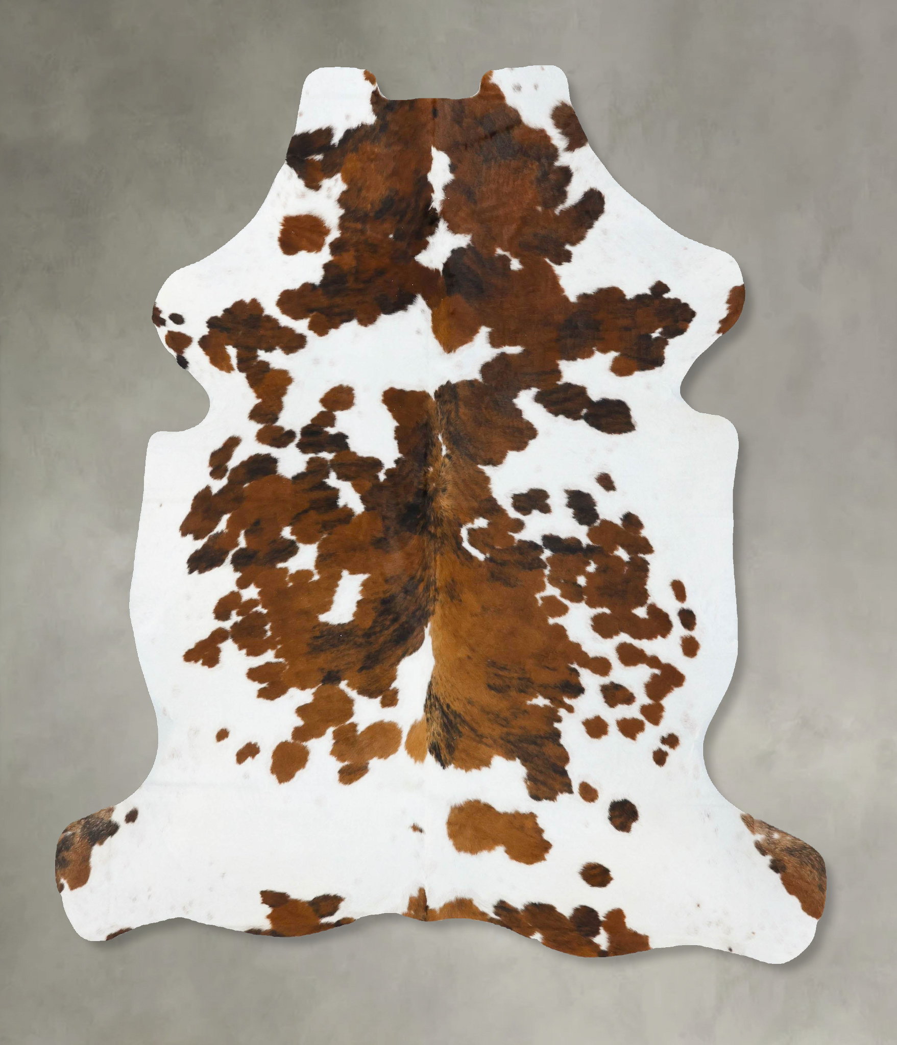 Tricolor Cowhide Rug #B23727