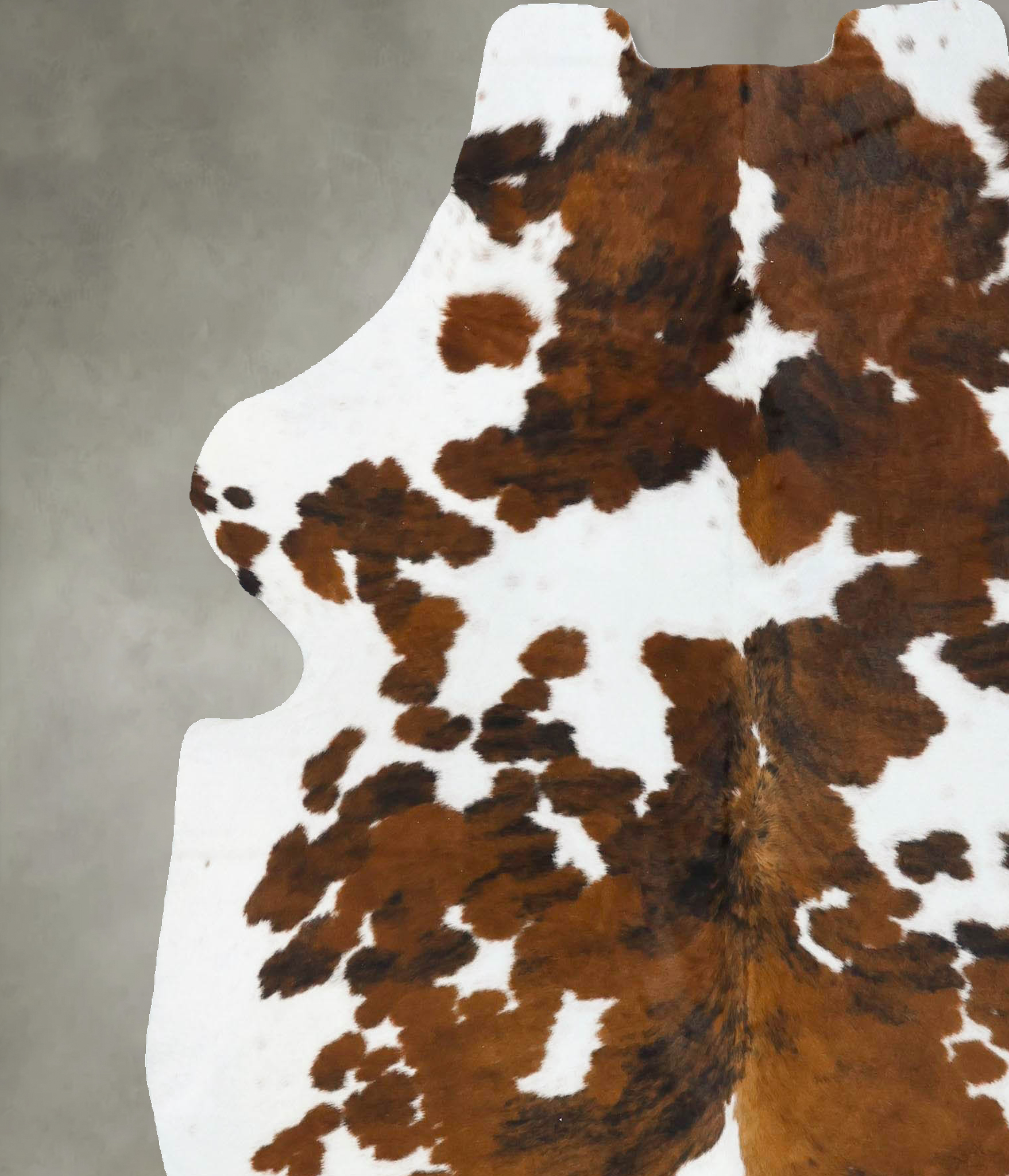 Tricolor Cowhide Rug #B23727