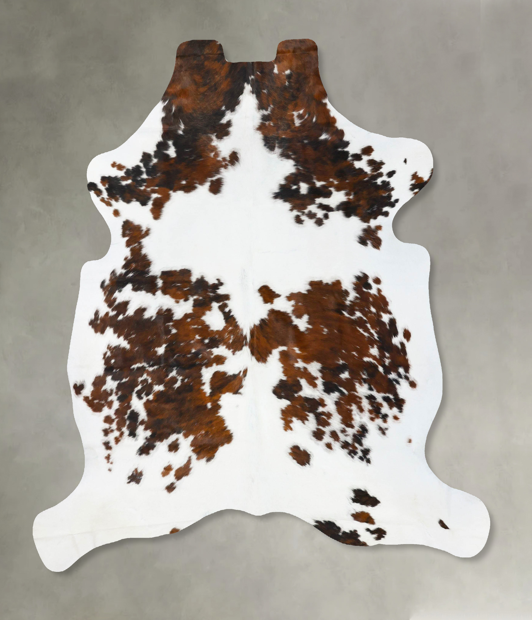 Tricolor Cowhide Rug #B23729