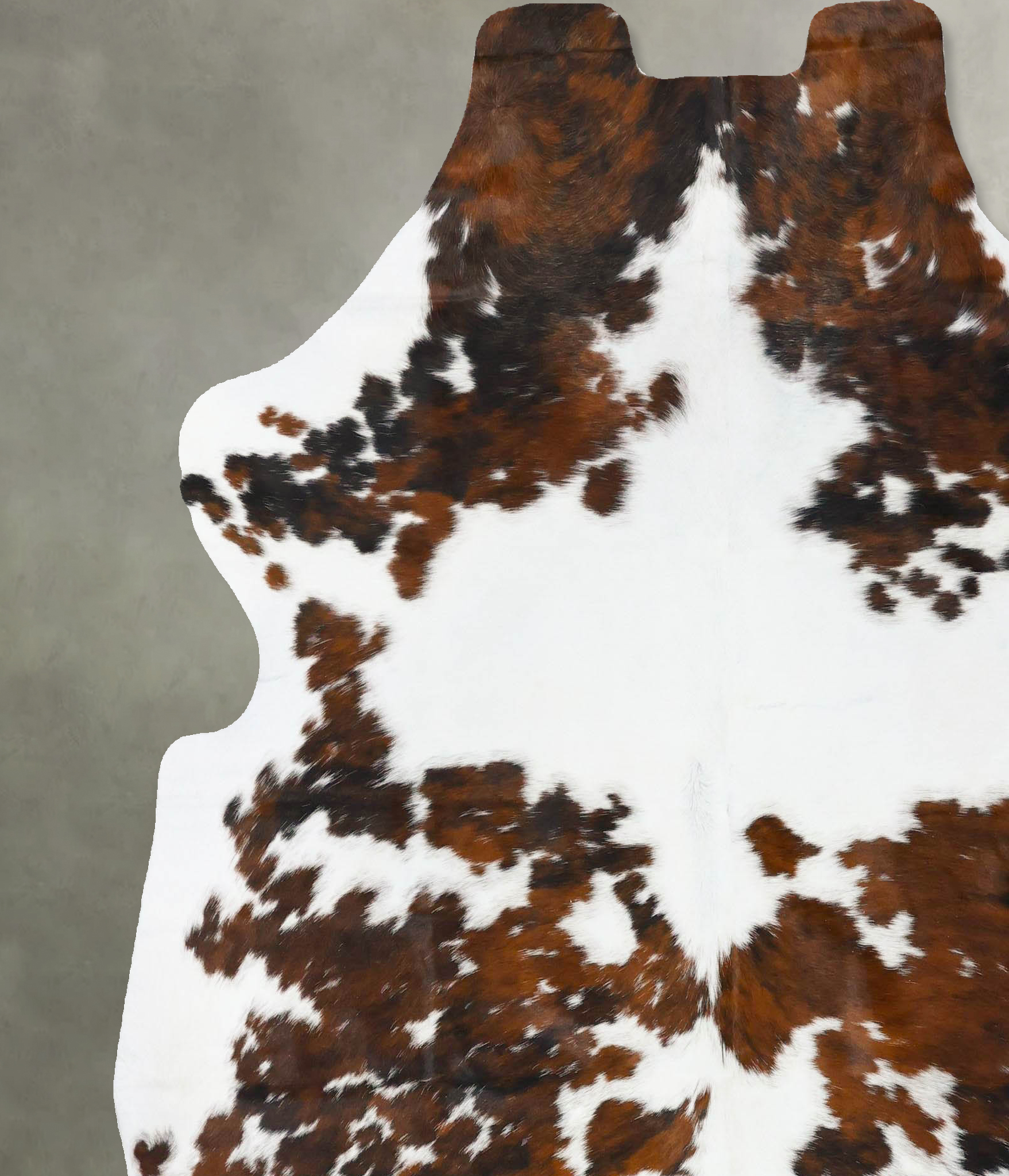 Tricolor Cowhide Rug #B23729