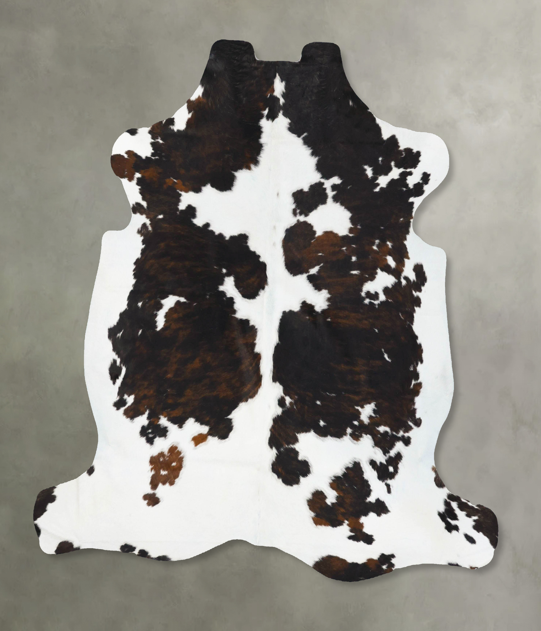 Tricolor Cowhide Rug #B23731