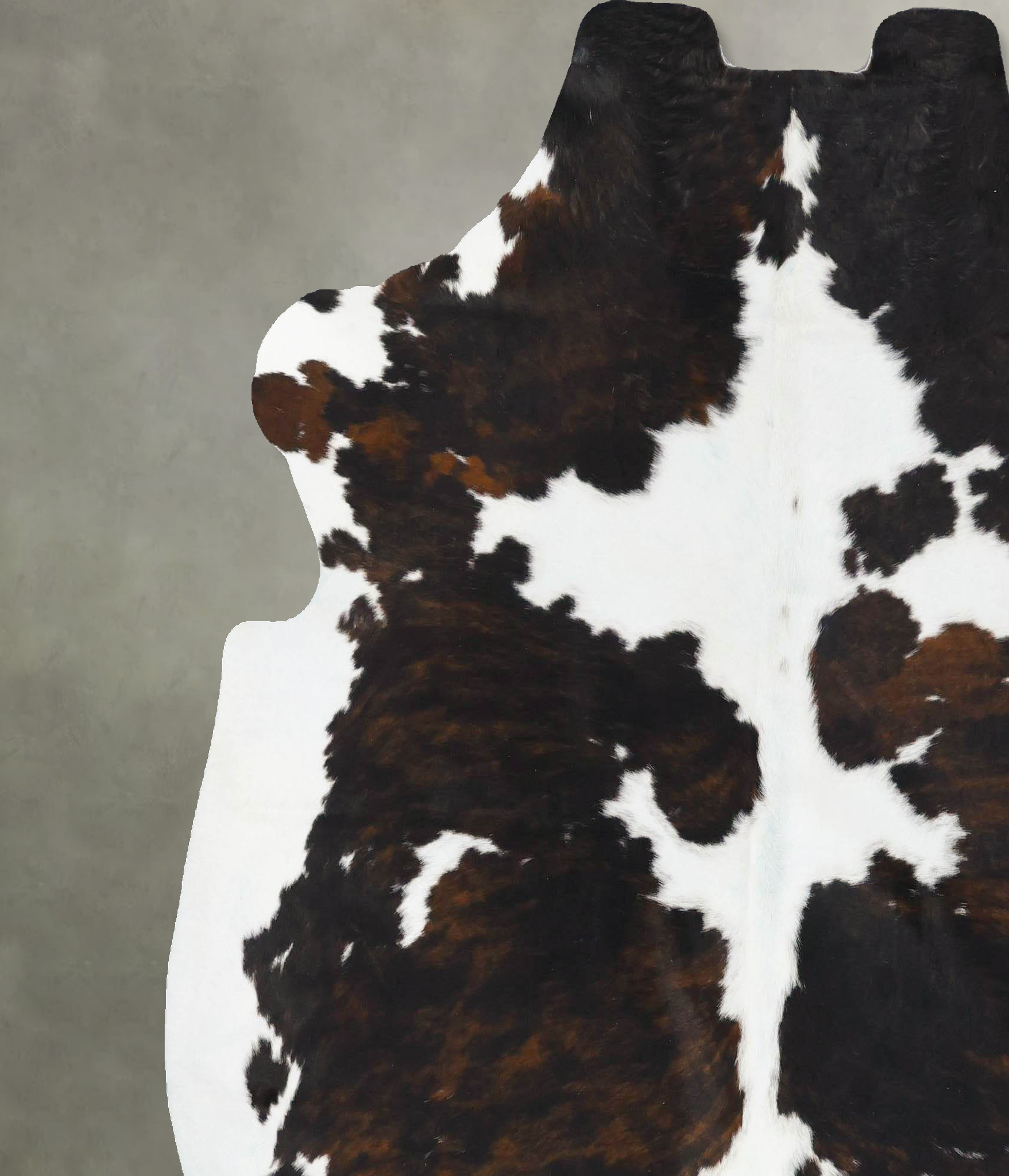 Tricolor Cowhide Rug #B23731