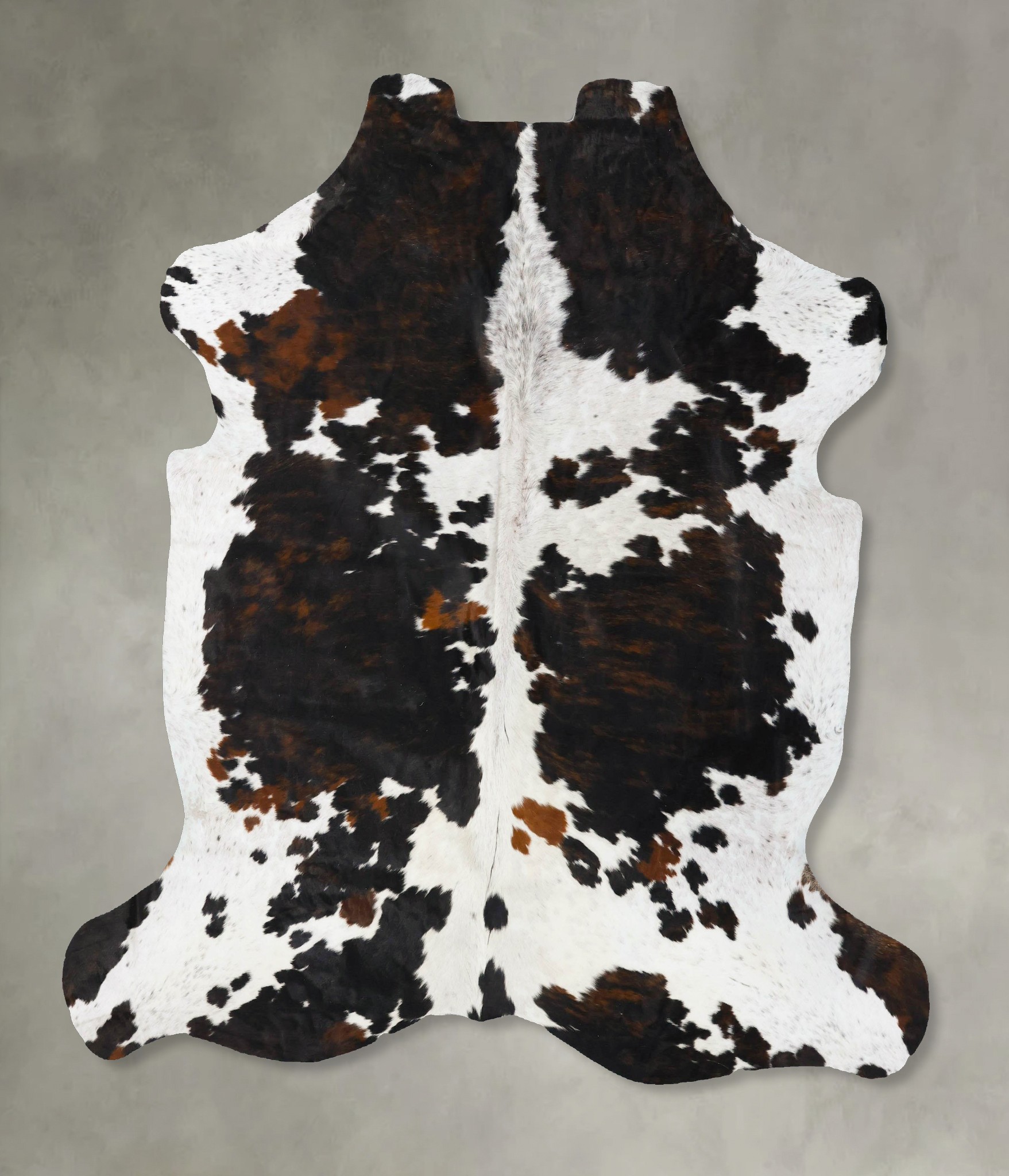 Tricolor Cowhide Rug #B23732