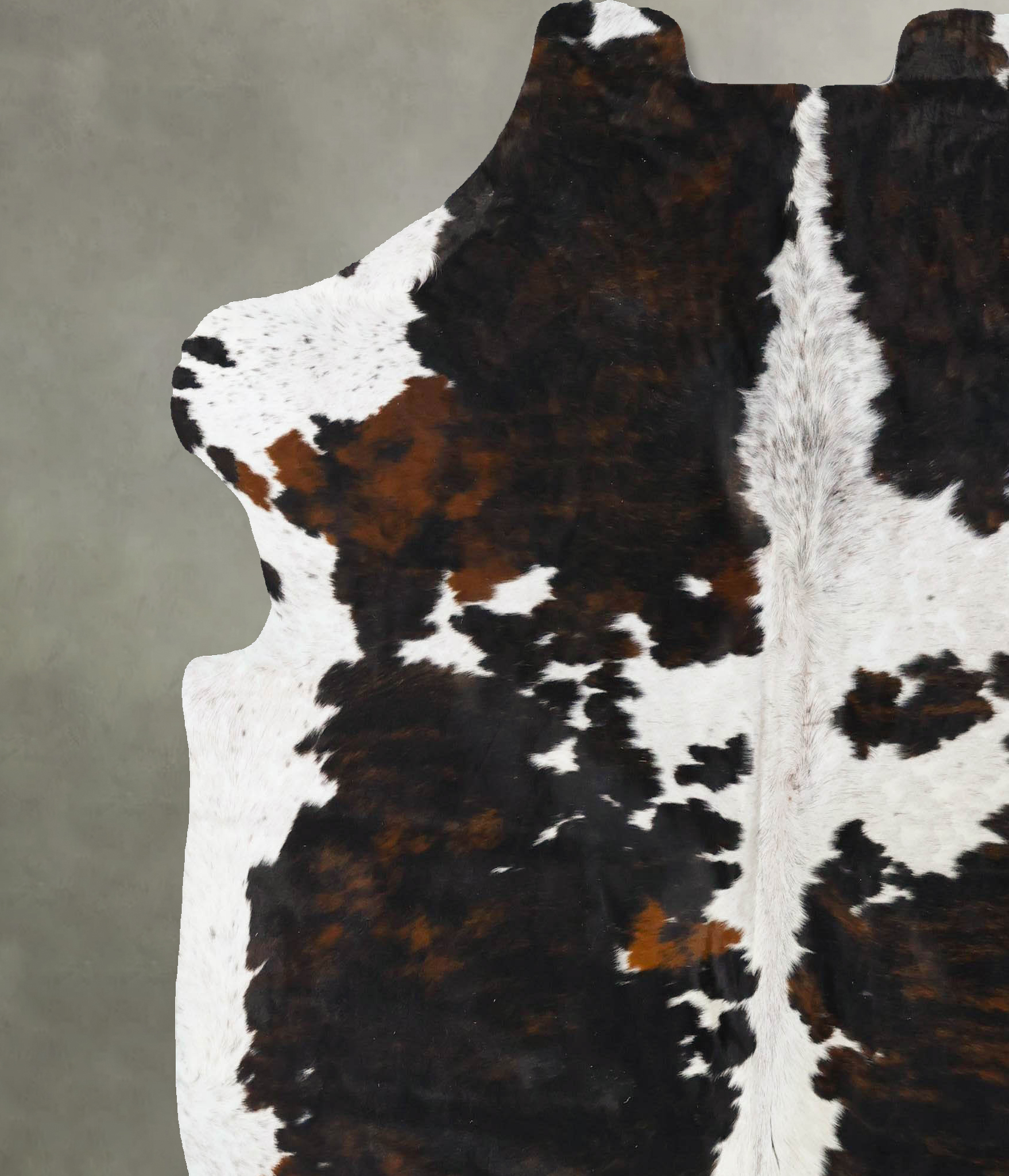 Tricolor Cowhide Rug #B23732