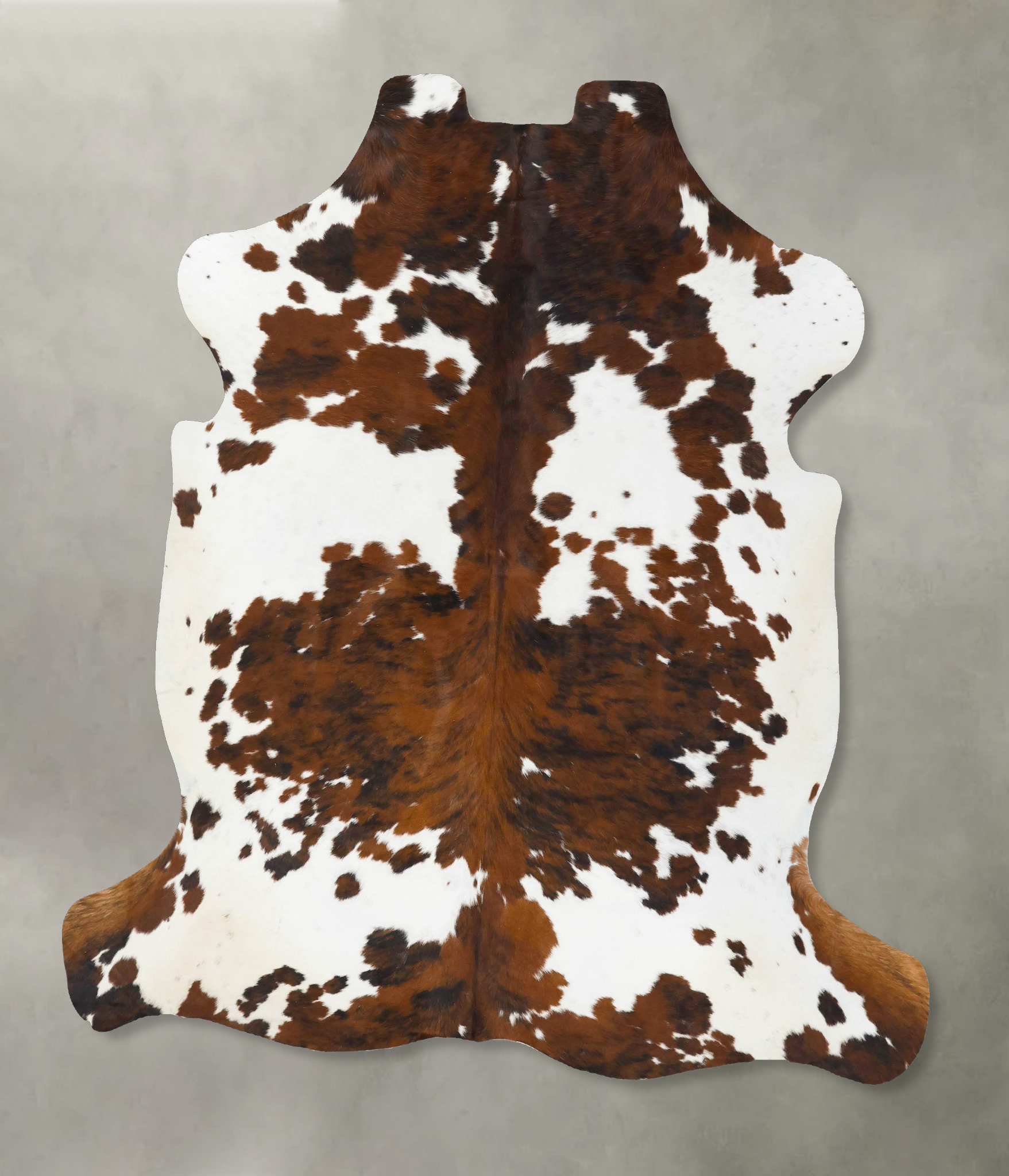 Tricolor Cowhide Rug #B23734