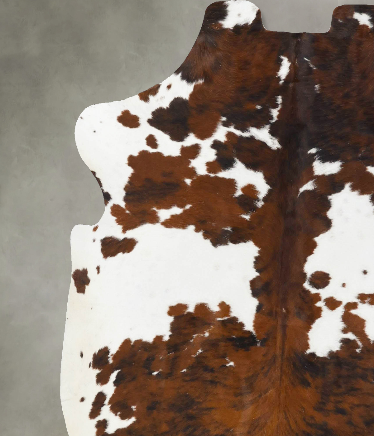 Tricolor X-Large European Cowhide Rug 7'1"H x 6'8"W #B23734 by Hudson Hides