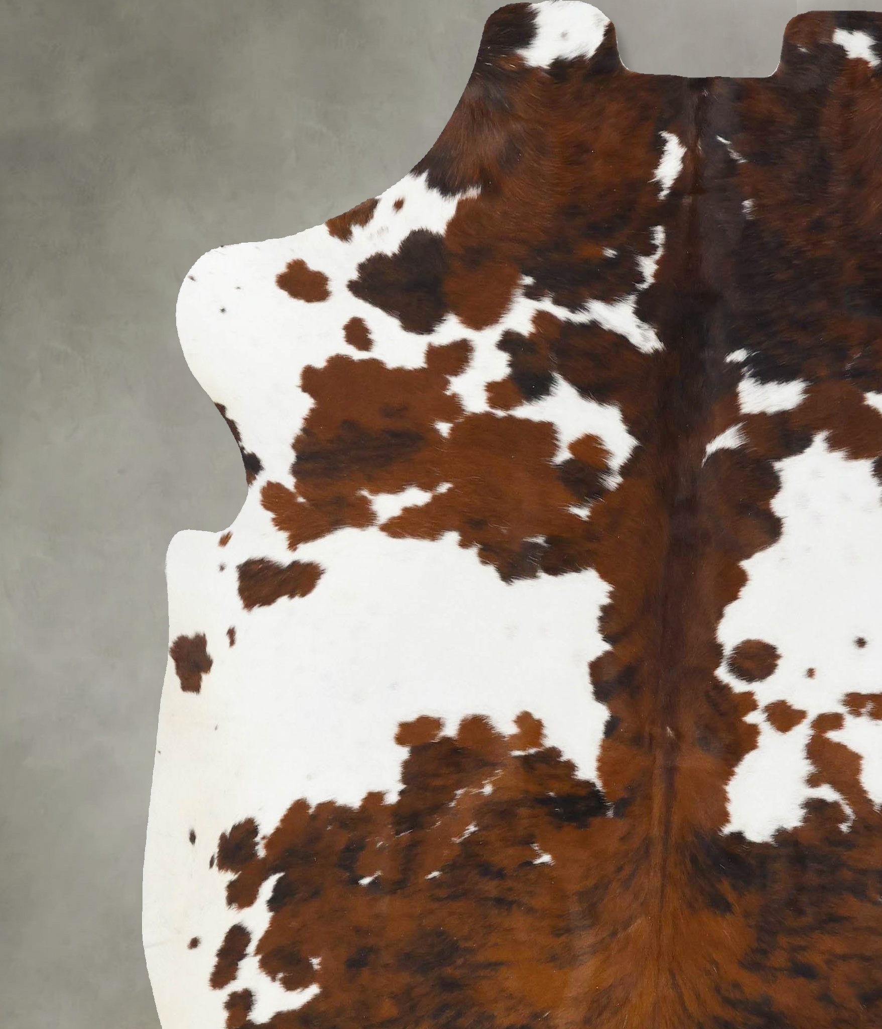 Tricolor Cowhide Rug #B23734