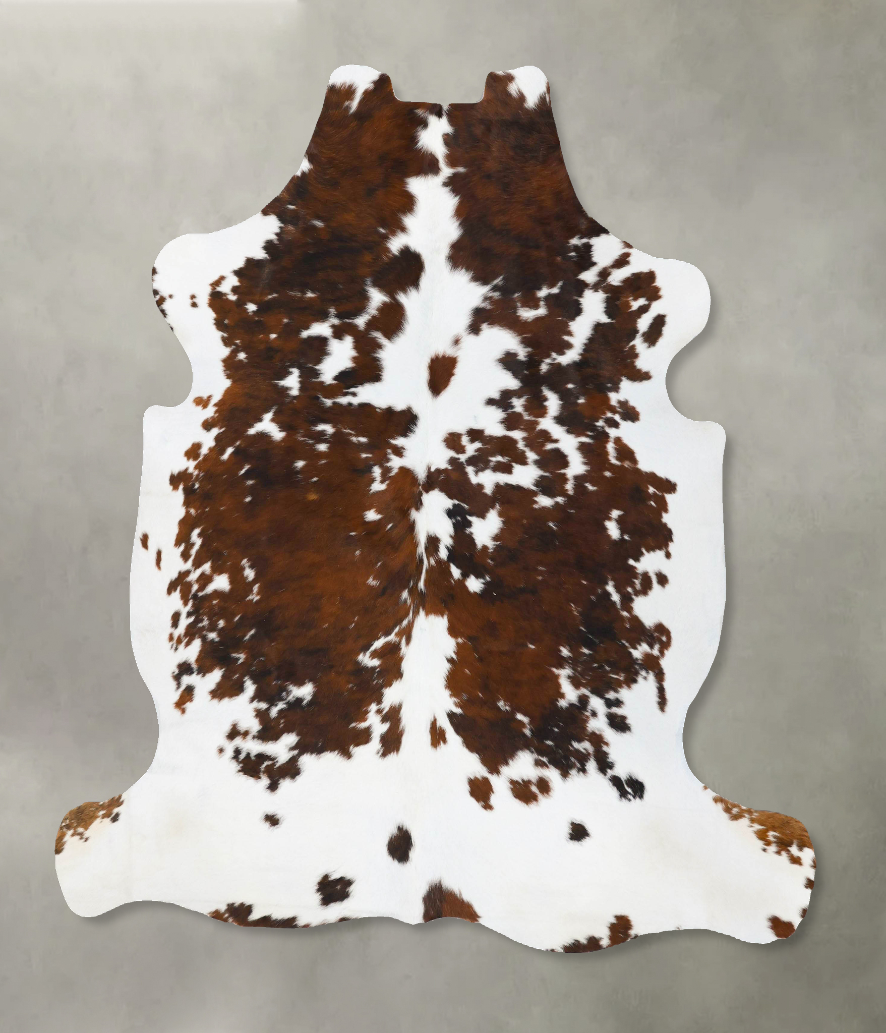 Tricolor Cowhide Rug #B23735