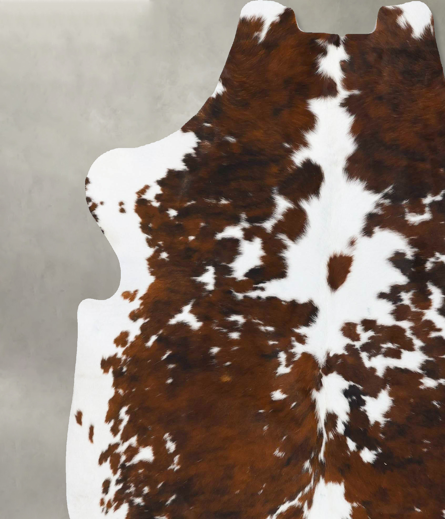Tricolor Cowhide Rug #B23735