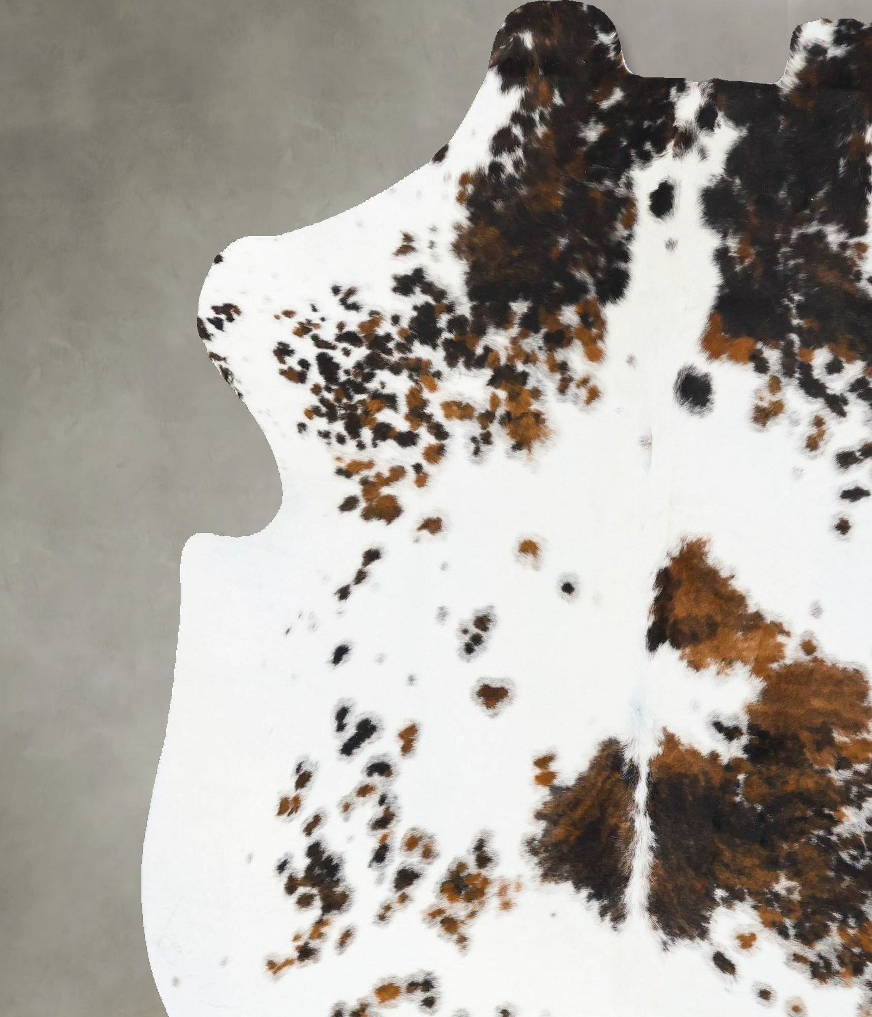 Tricolor Cowhide Rug #B23739