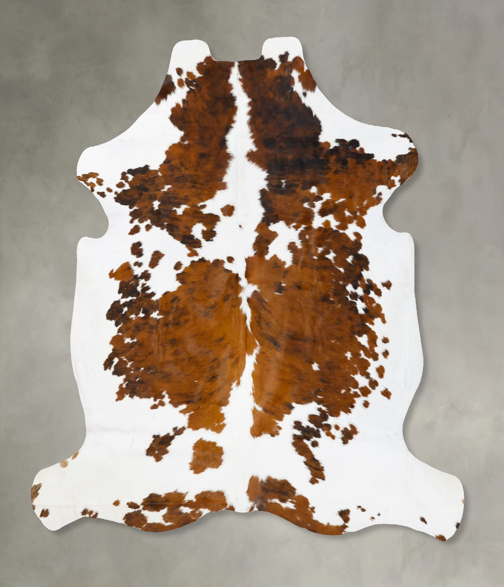 Tricolor Cowhide Rug #B23744