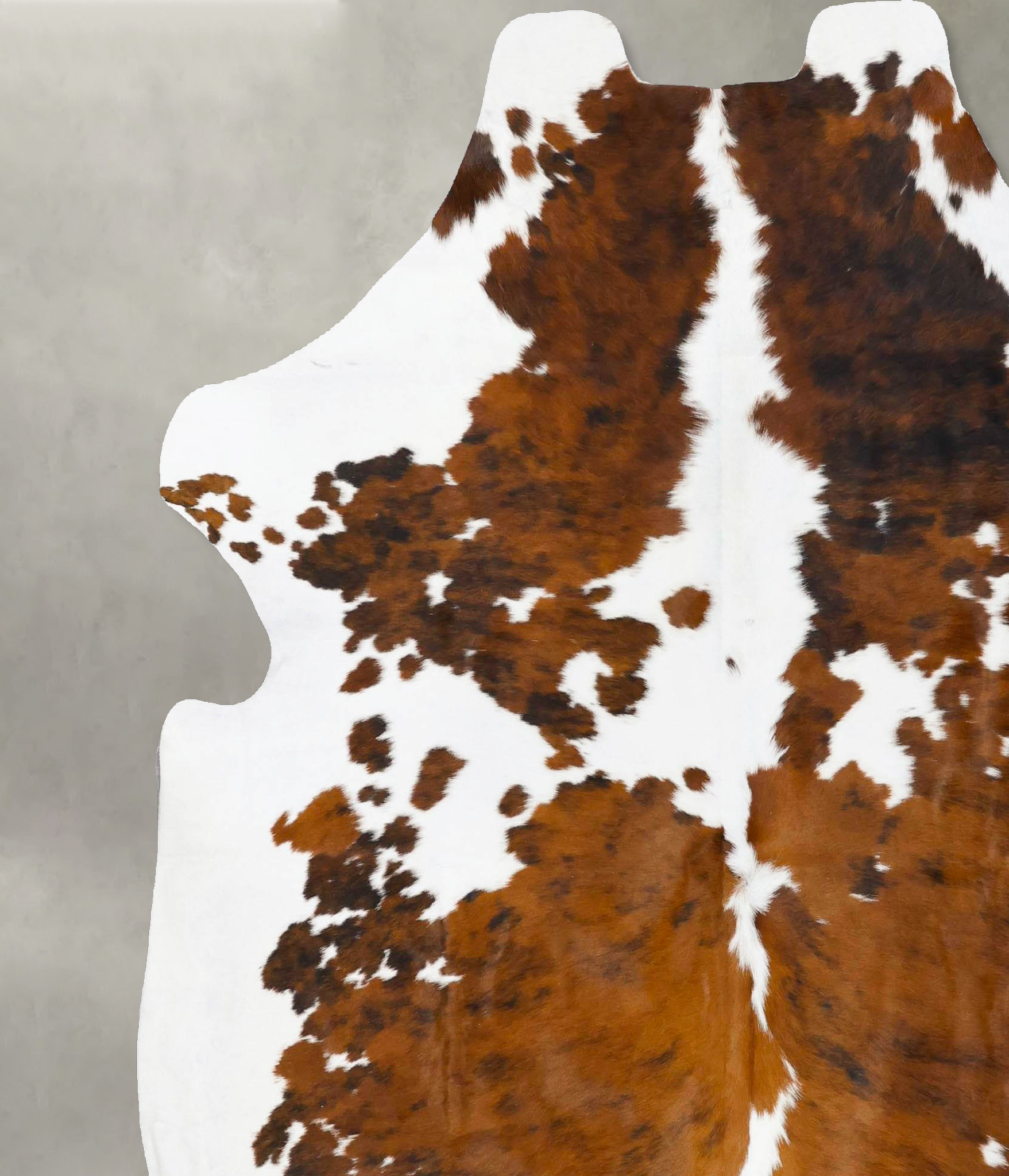 Tricolor Cowhide Rug #B23744