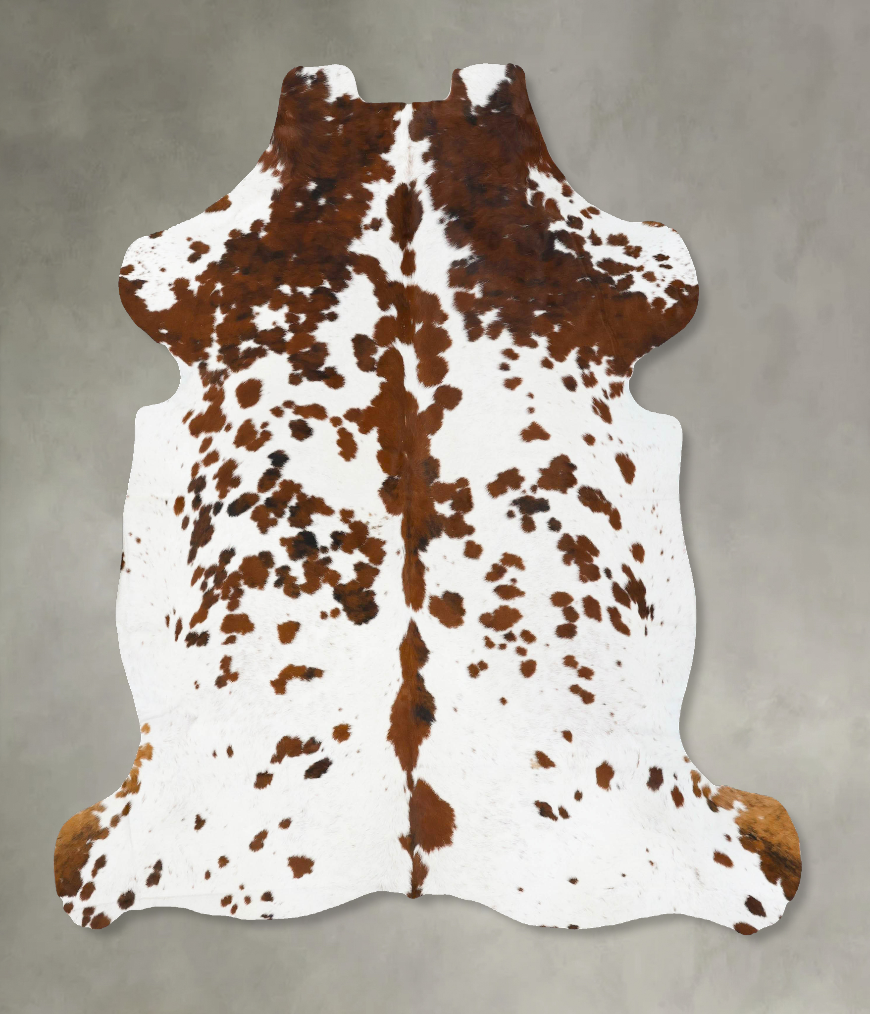 Tricolor Cowhide Rug #B23745