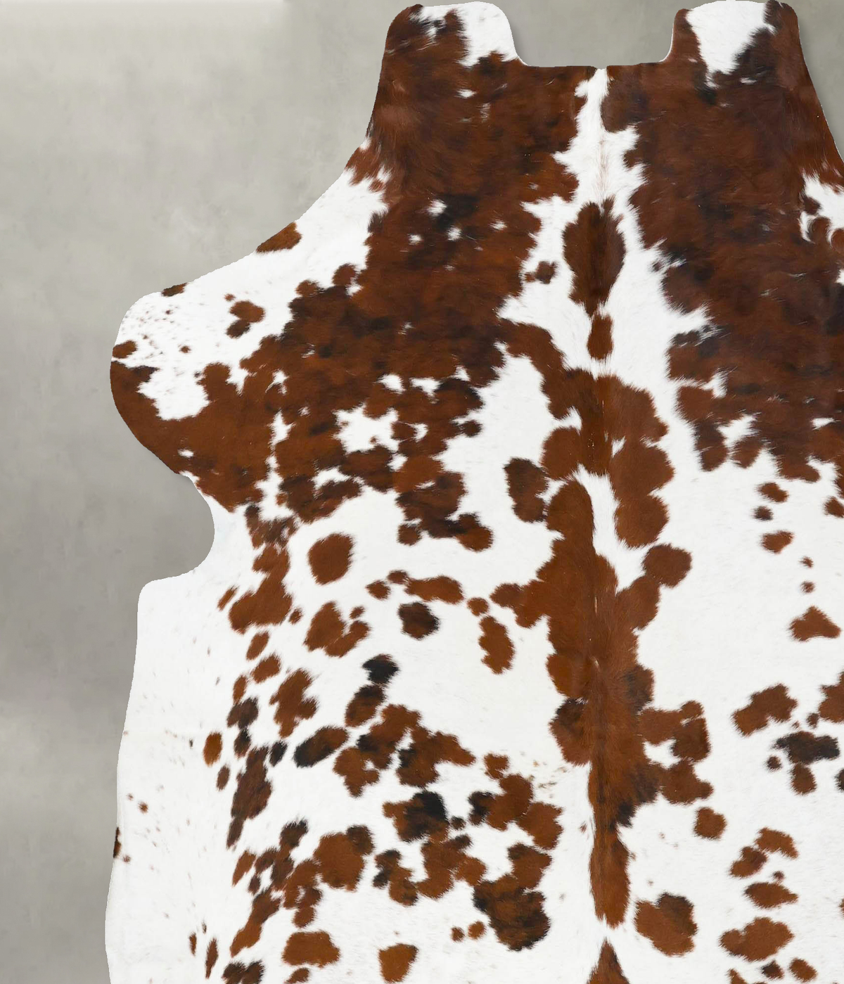 Tricolor X-Large European Cowhide Rug 7'0"H x 6'8"W #B23745 by Hudson Hides