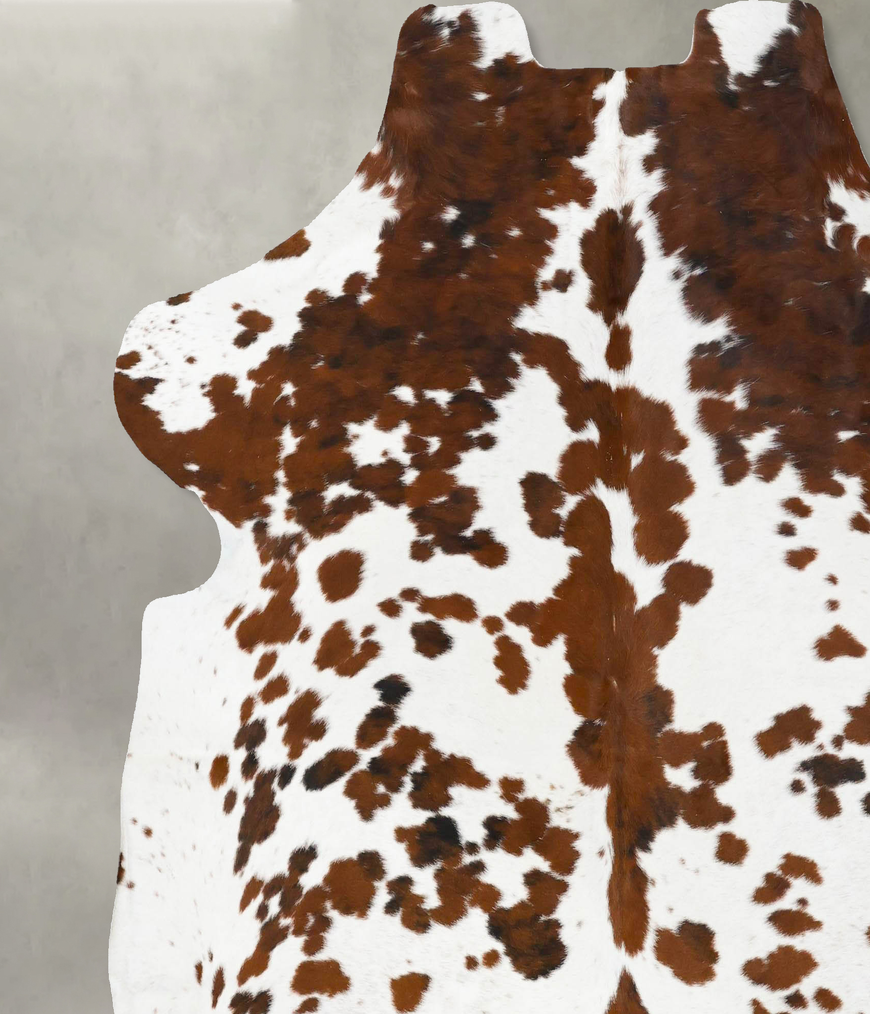 Tricolor Cowhide Rug #B23745