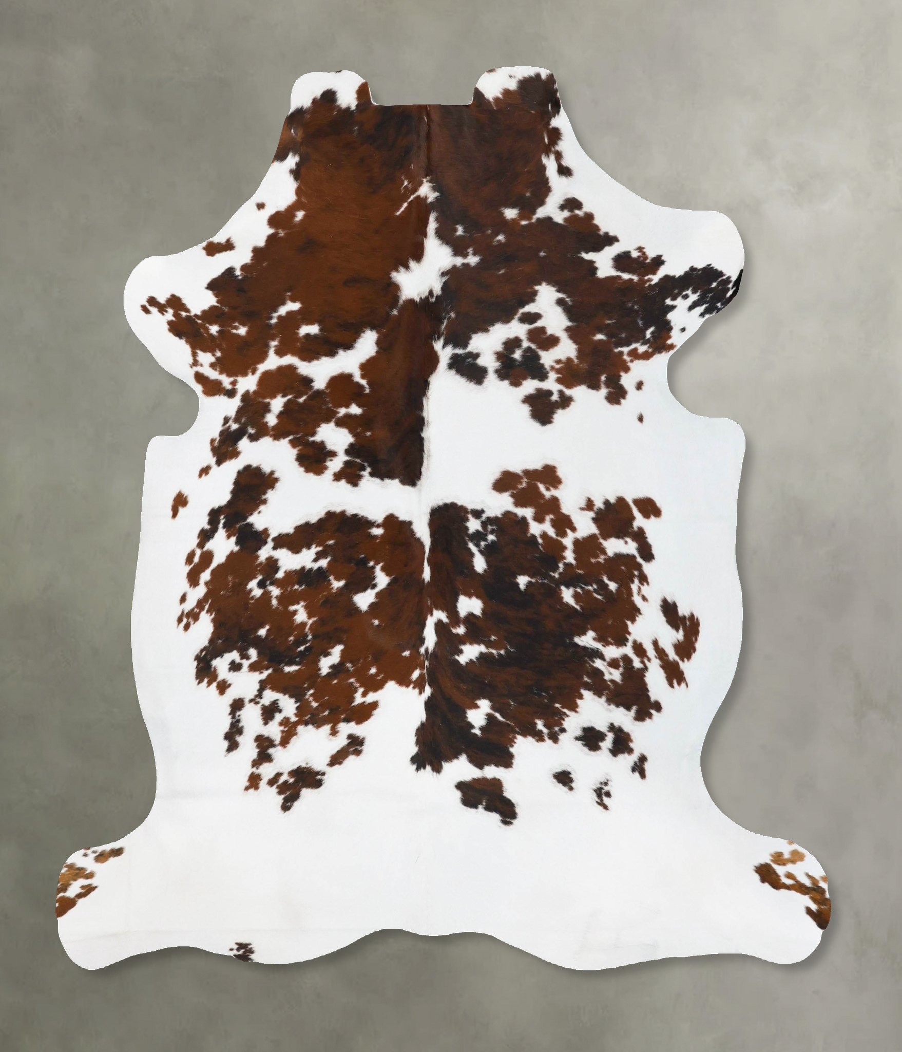 Tricolor Cowhide Rug #B23746