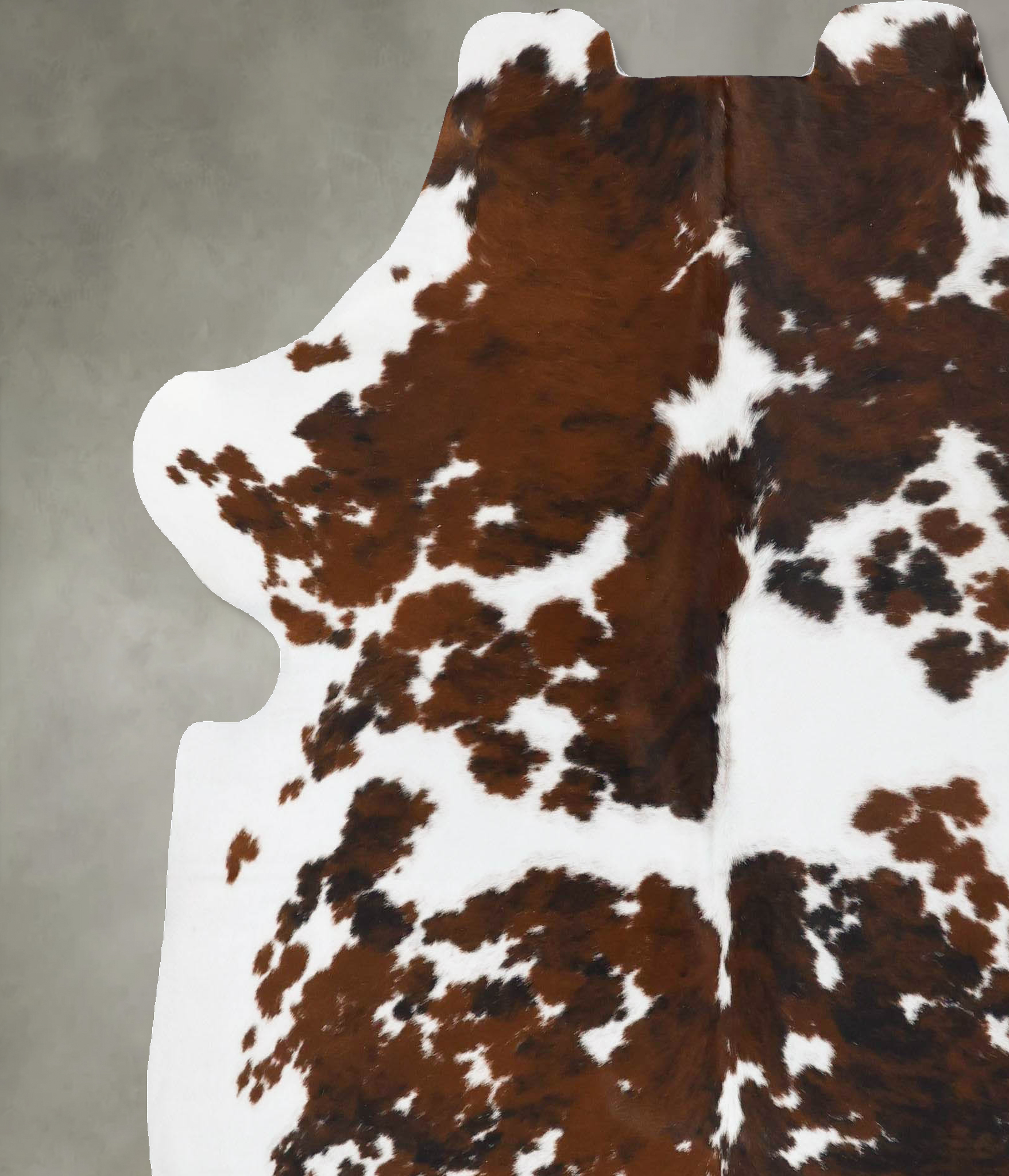 Tricolor Cowhide Rug #B23746