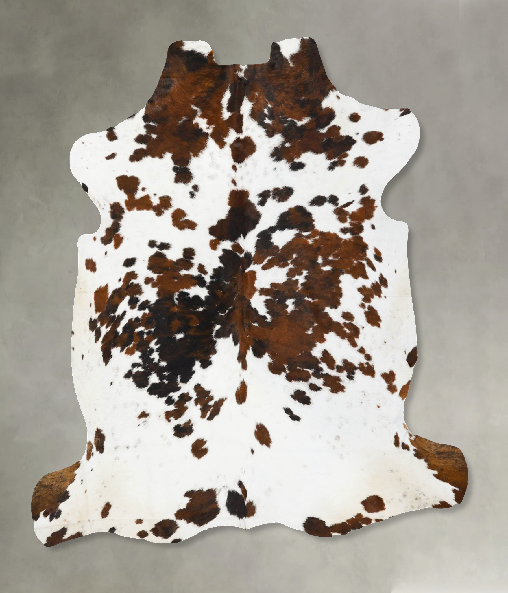 Tricolor Cowhide Rug #B23747