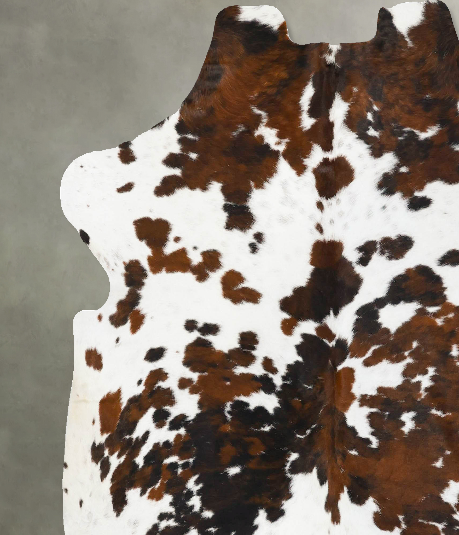 Tricolor Cowhide Rug #B23747