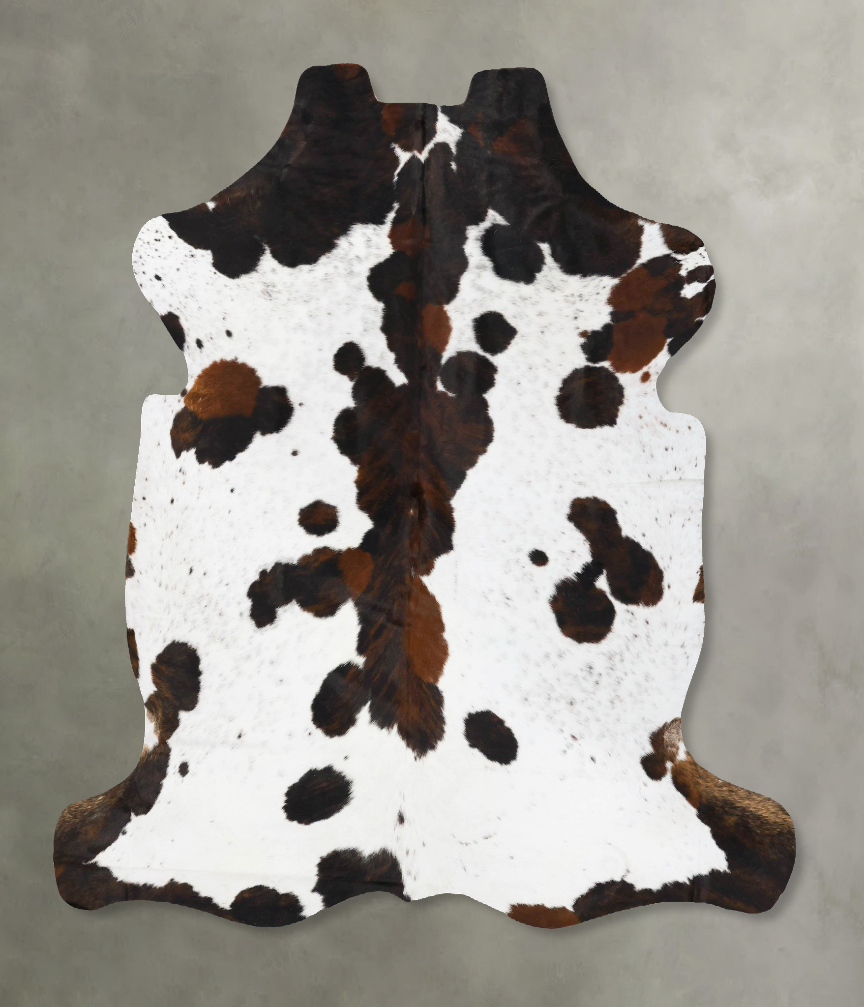 Tricolor Cowhide Rug #B23749
