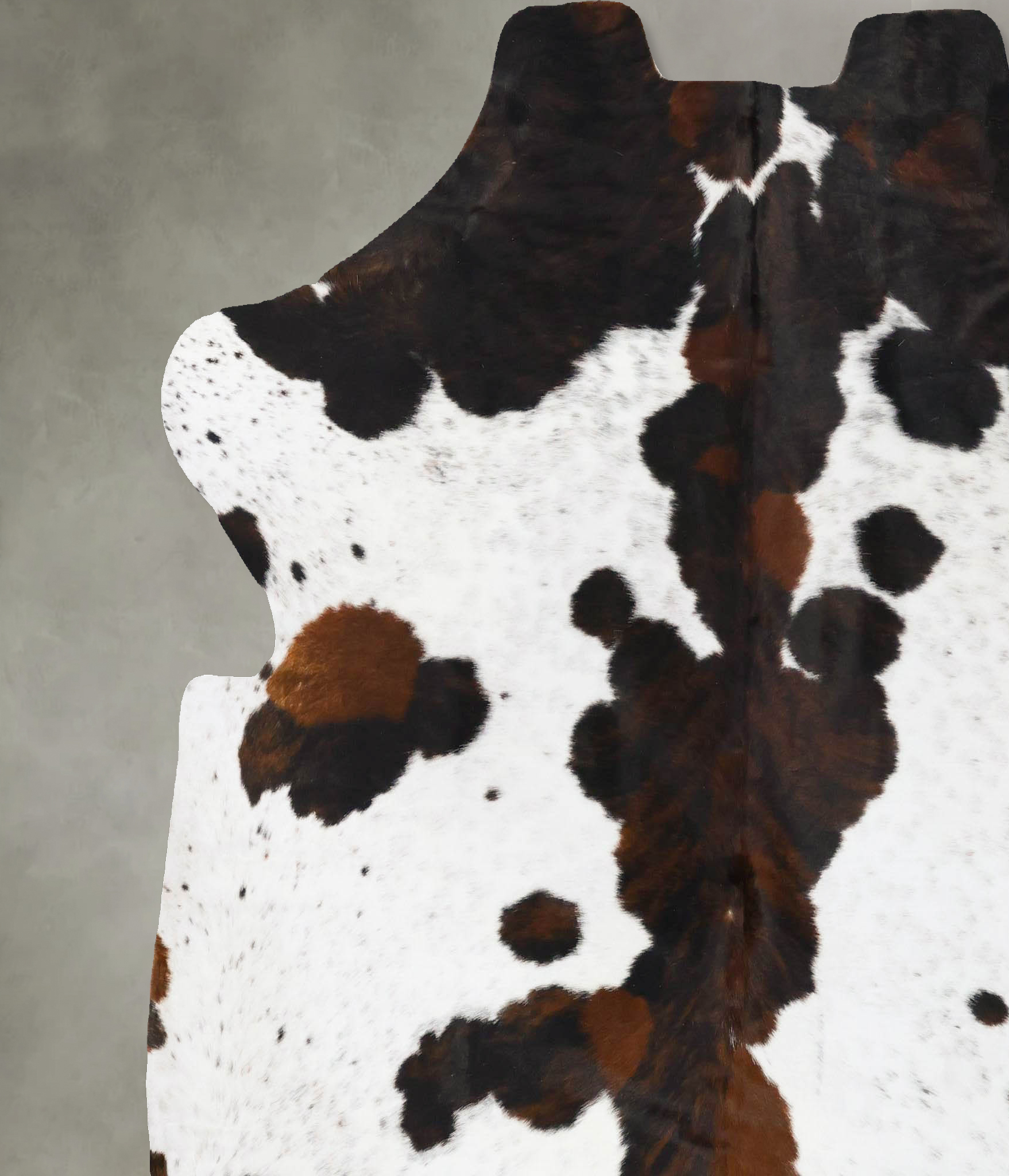 Tricolor Cowhide Rug #B23749