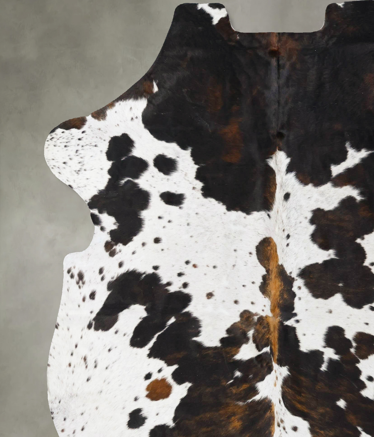 Tricolor X-Large European Cowhide Rug 7'6"H x 6'6"W #B23756 by Hudson Hides