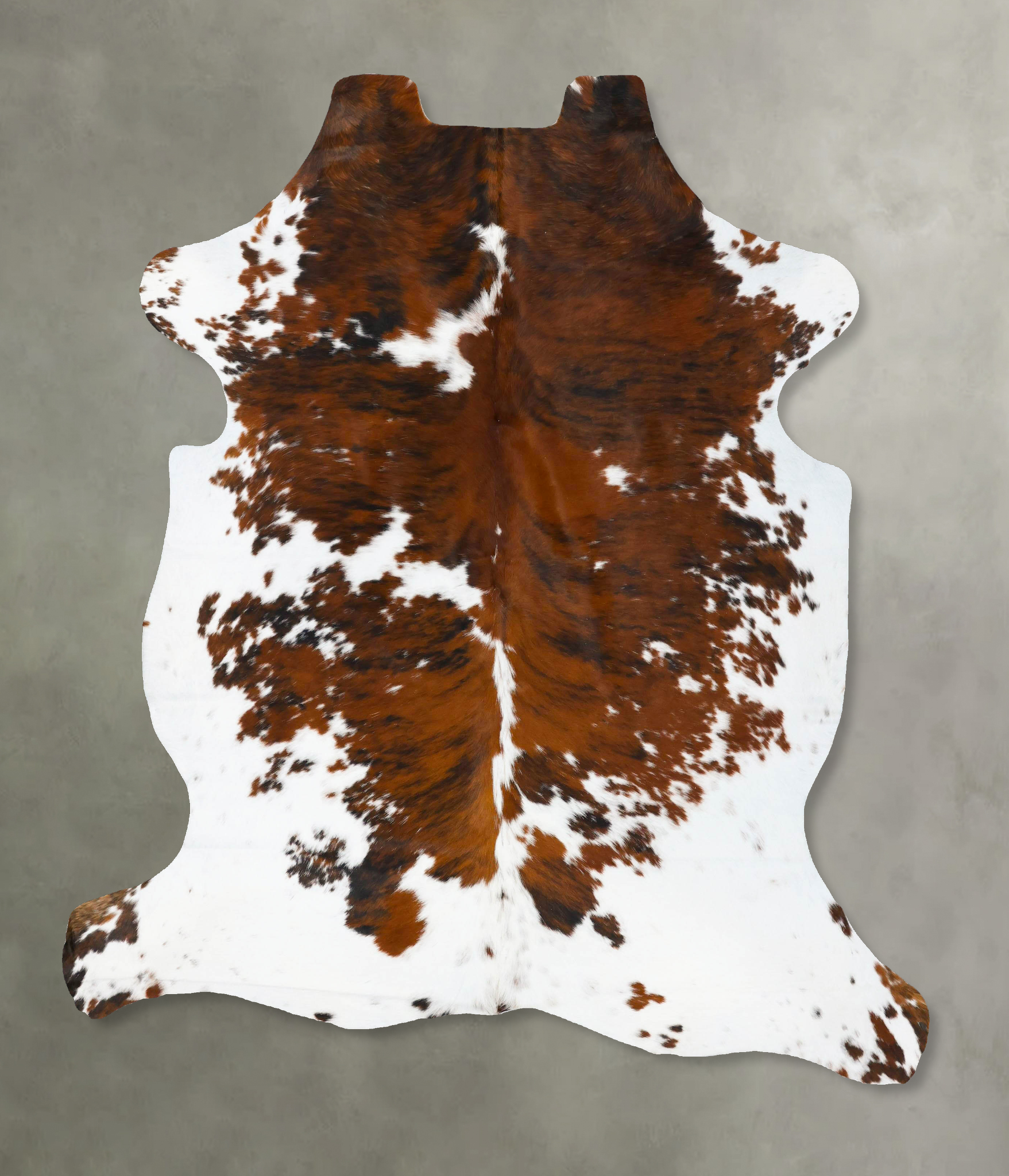 Tricolor Cowhide Rug #B23757