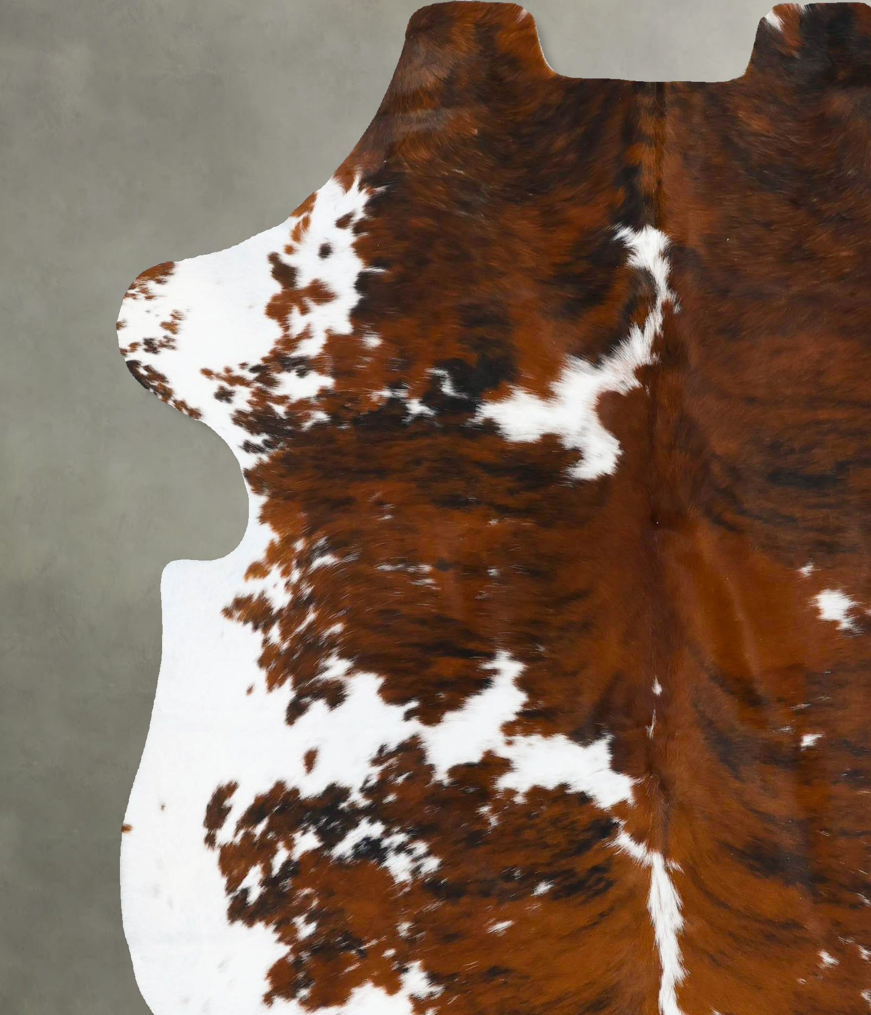 Tricolor Cowhide Rug #B23757