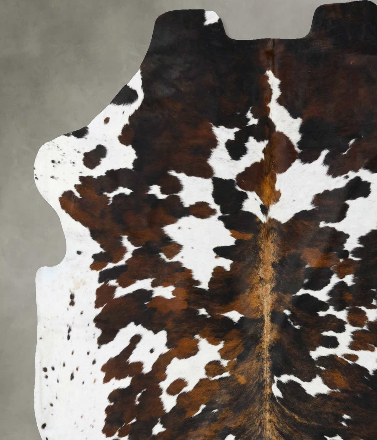Tricolor X-Large European Cowhide Rug 7'5"H x 6'8"W #B23762 by Hudson Hides