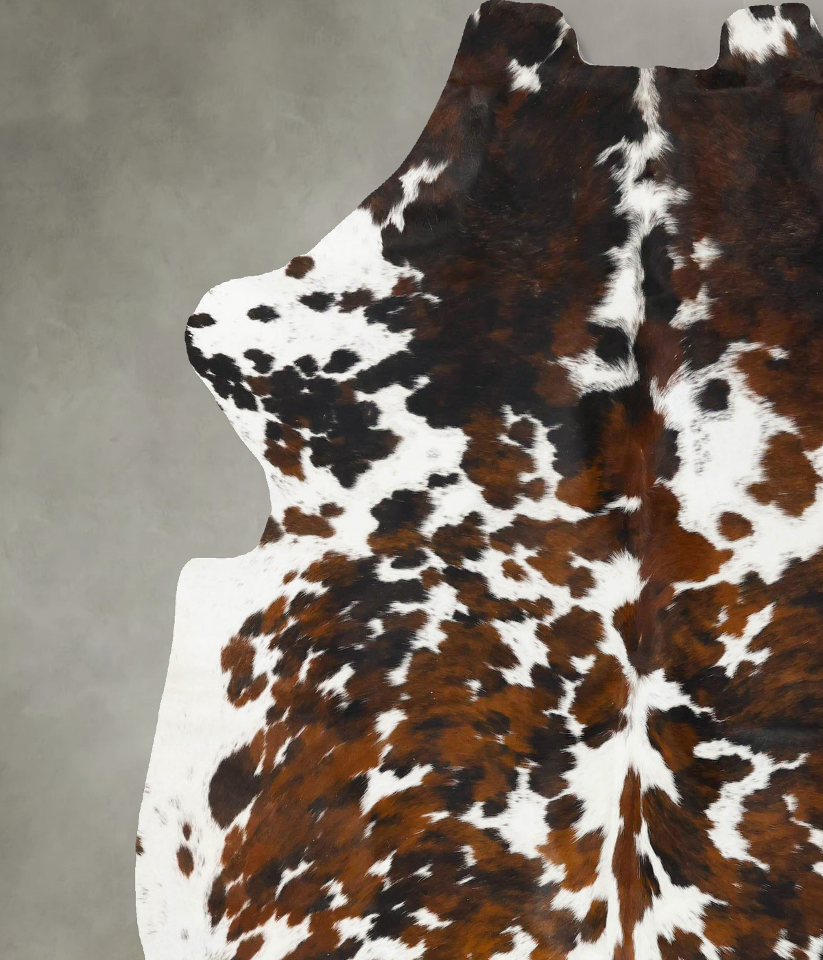 Tricolor X-Large European Cowhide Rug 7'2"H x 6'5"W #B23763 by Hudson Hides