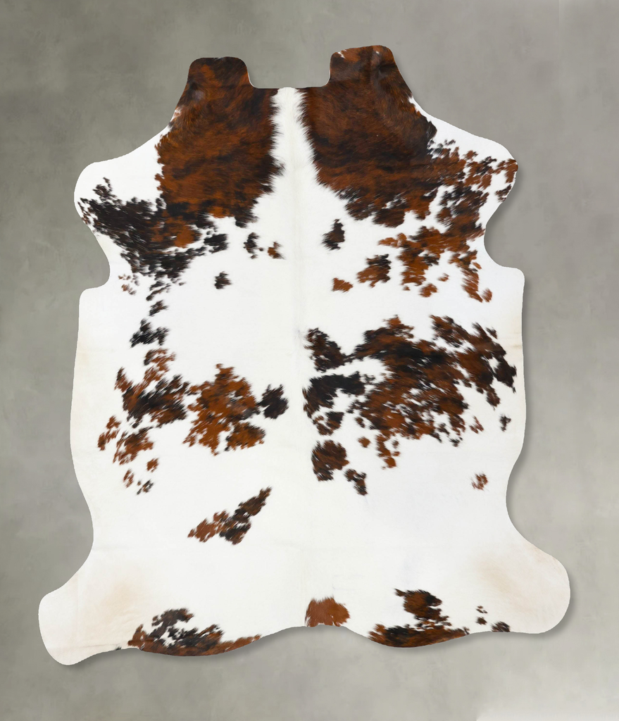 Tricolor Large European Cowhide Rug 6'11"H x 5'9"W #B23764 by Hudson Hides