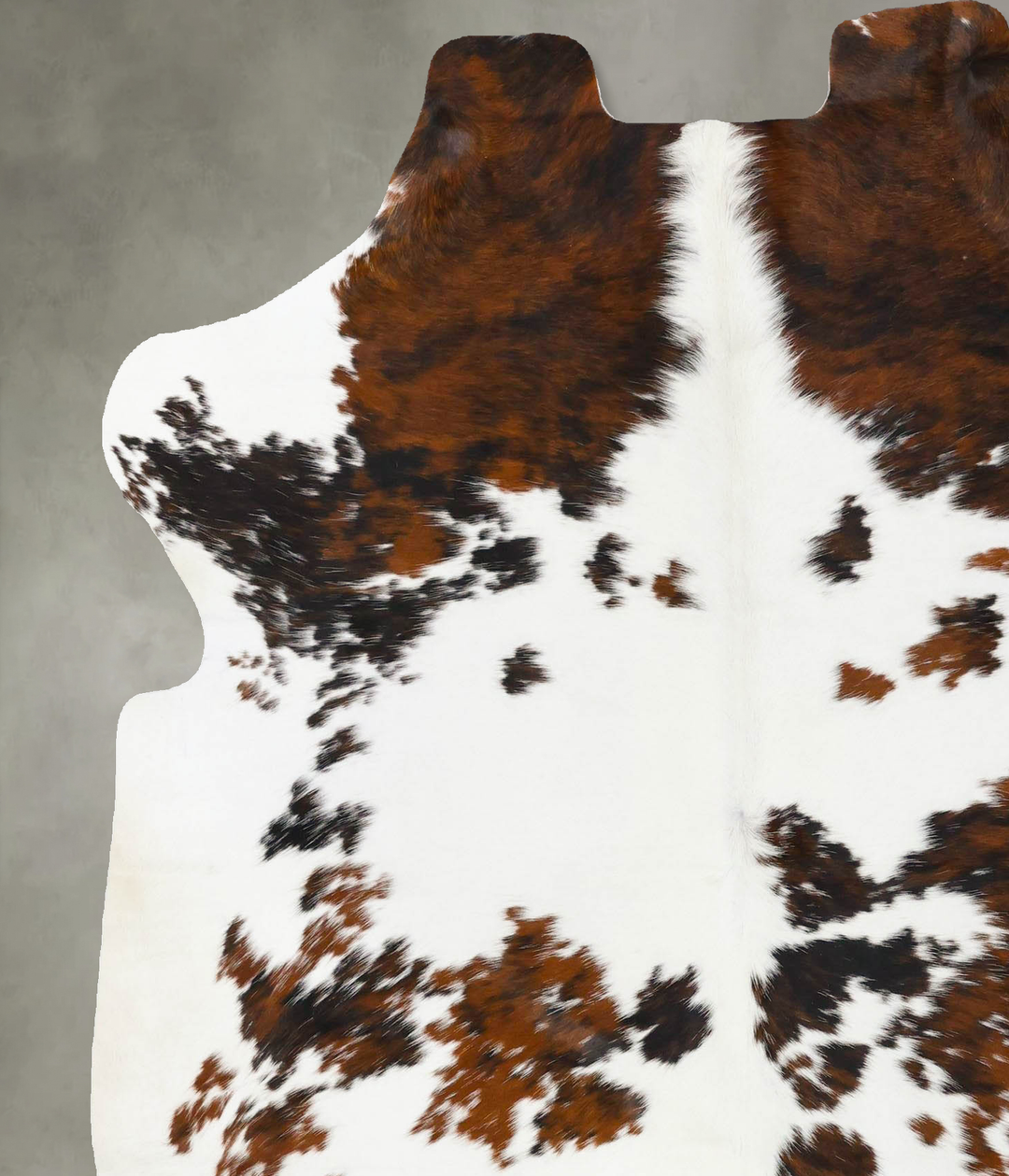 Tricolor Large European Cowhide Rug 6'11"H x 5'9"W #B23764 by Hudson H