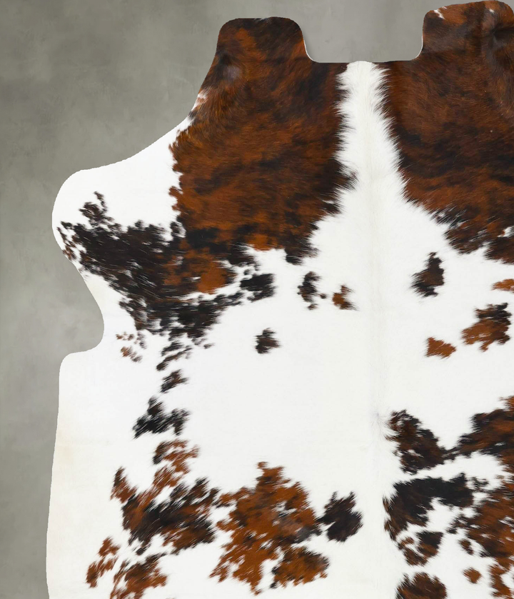 Tricolor Large European Cowhide Rug 6'11"H x 5'9"W #B23764 by Hudson Hides